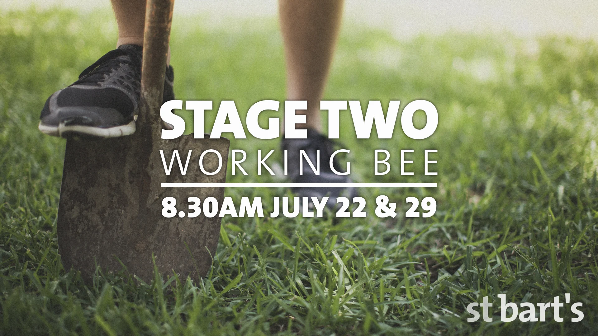 Working Bee to Plant New Plants