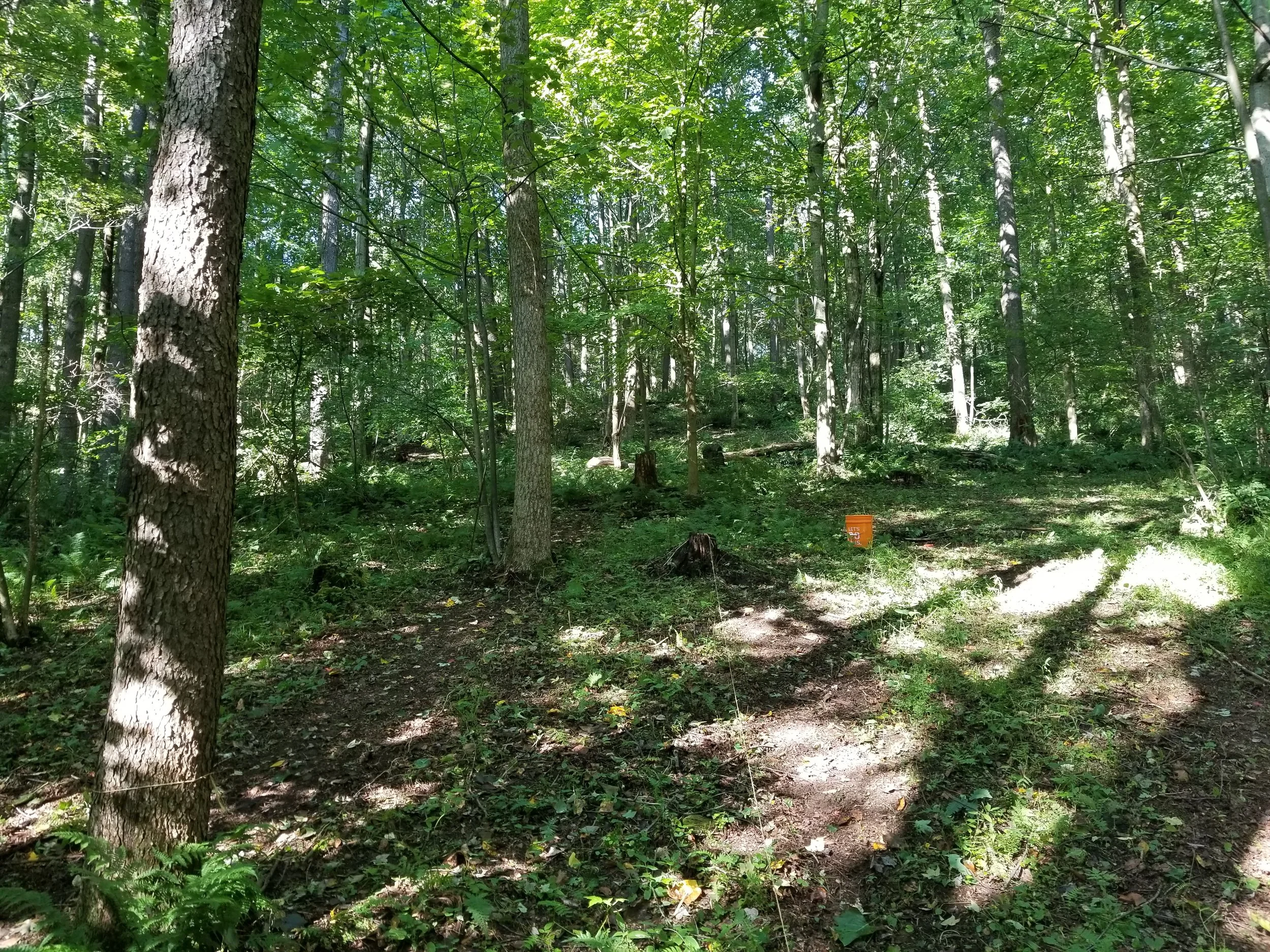20170904_095019[285].jpg