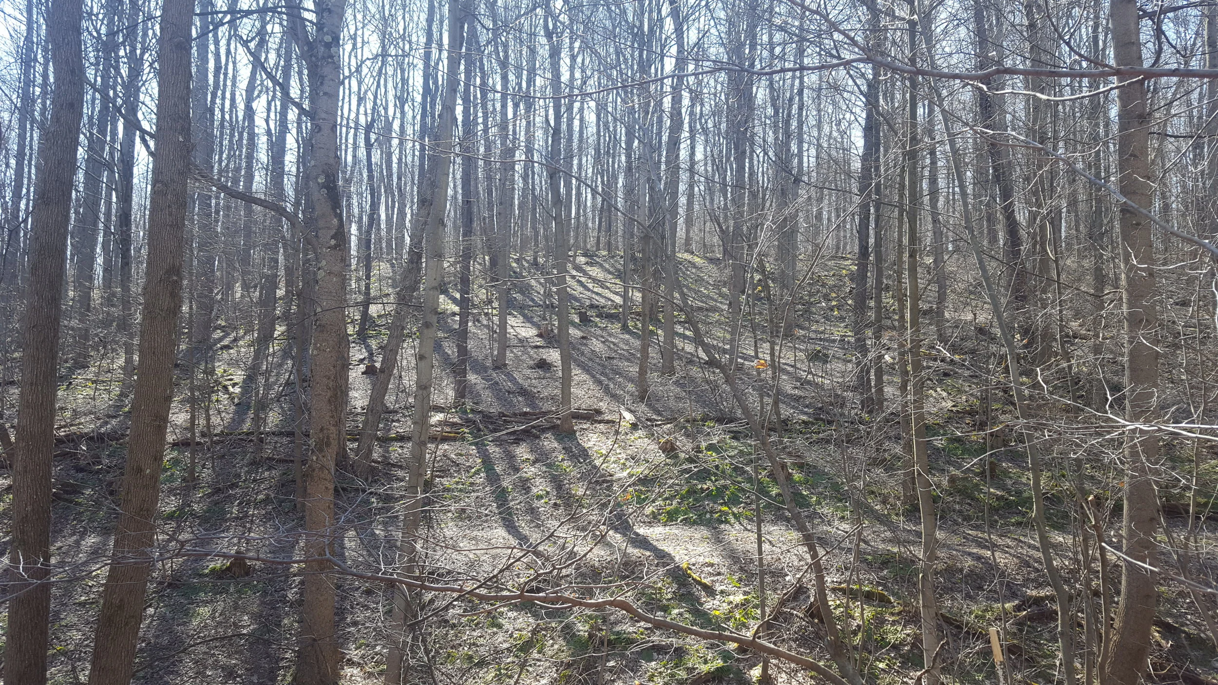 20170322_155929[36].jpg