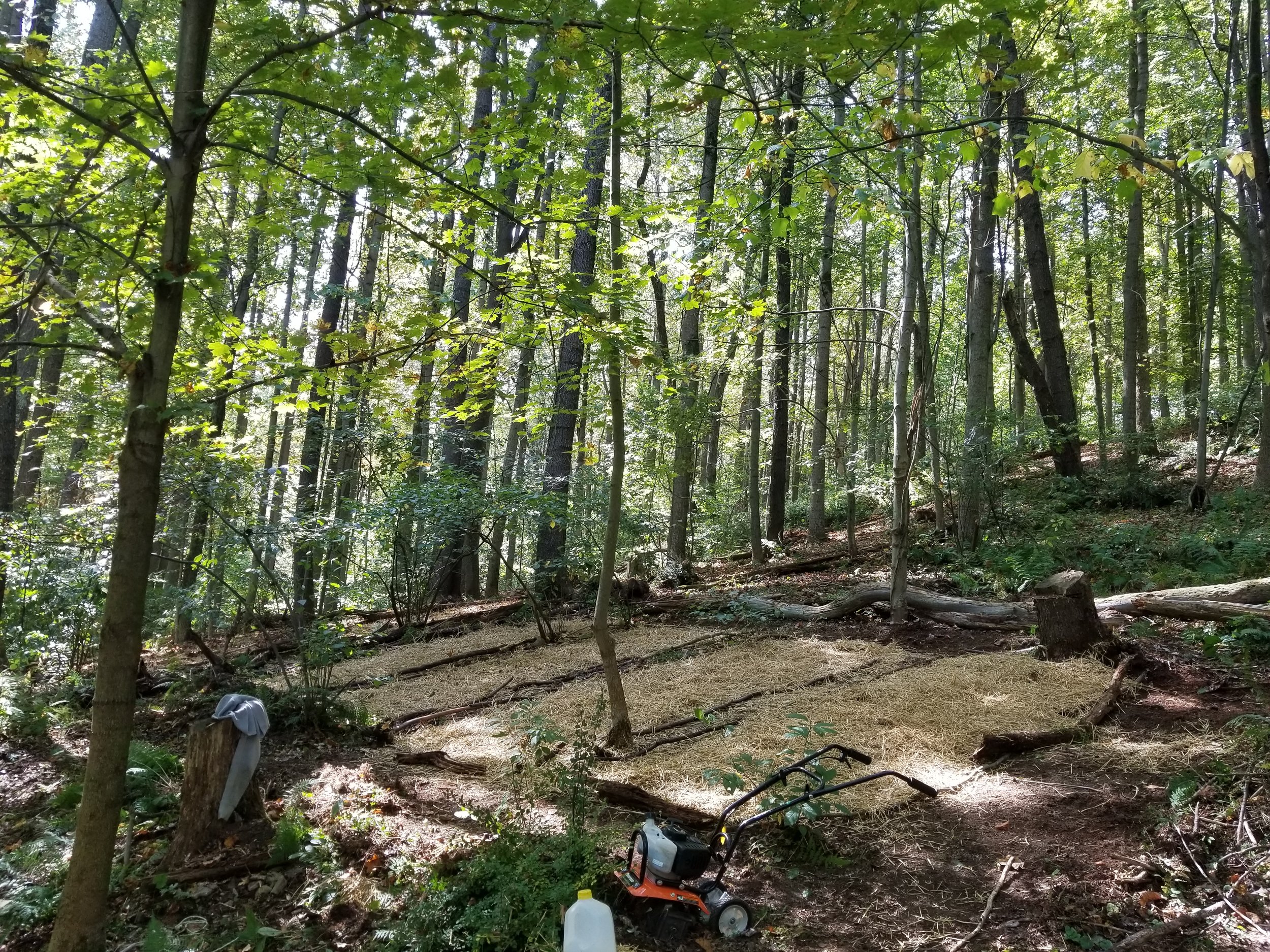 20170925_120242[284].jpg