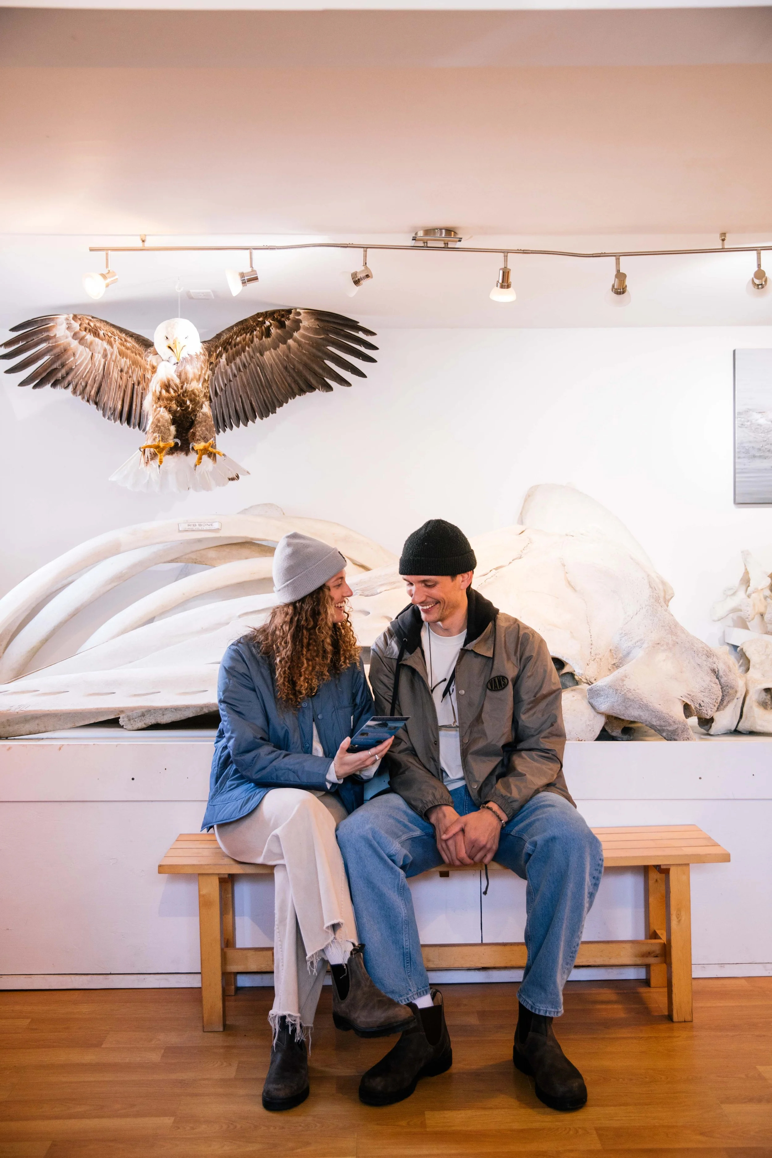 The Whale Centre Tour office