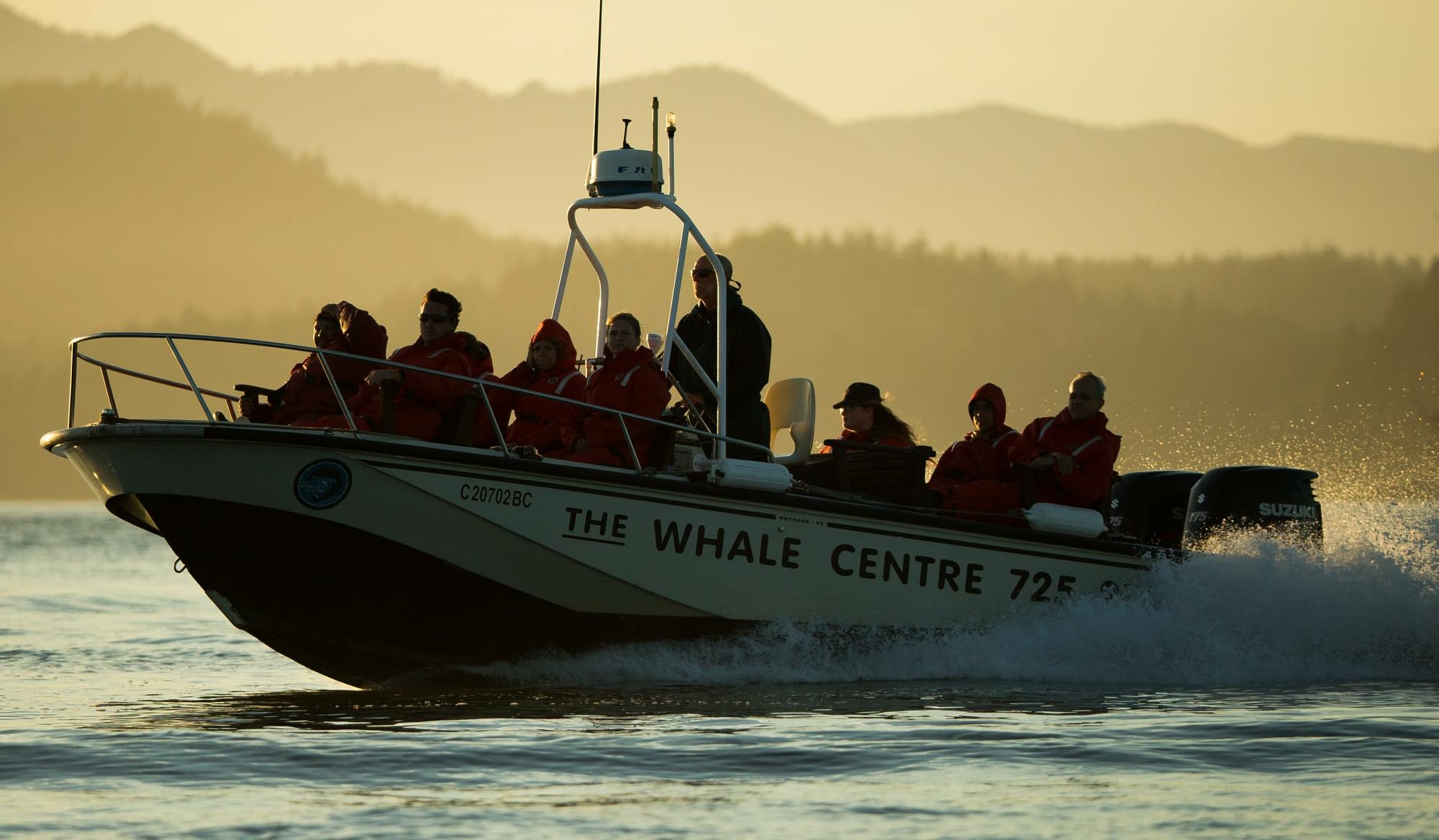 Tofino Whale Watching Tours