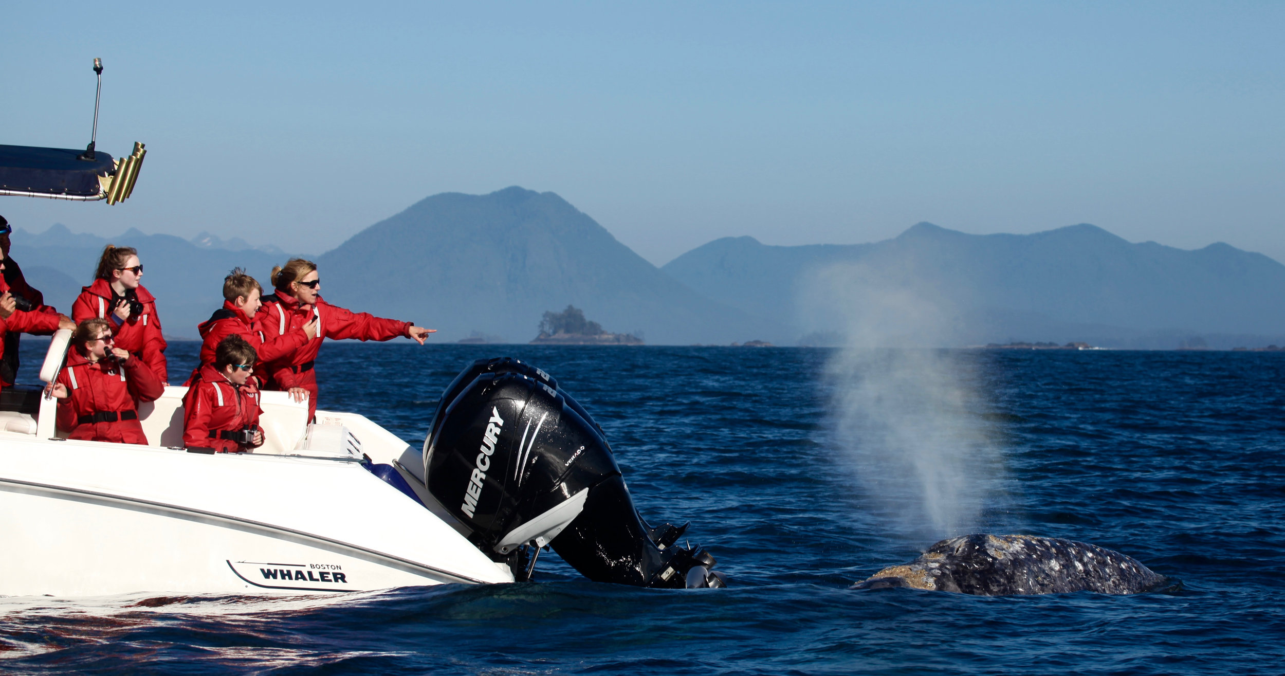 Whale Watching Tofino.jpg