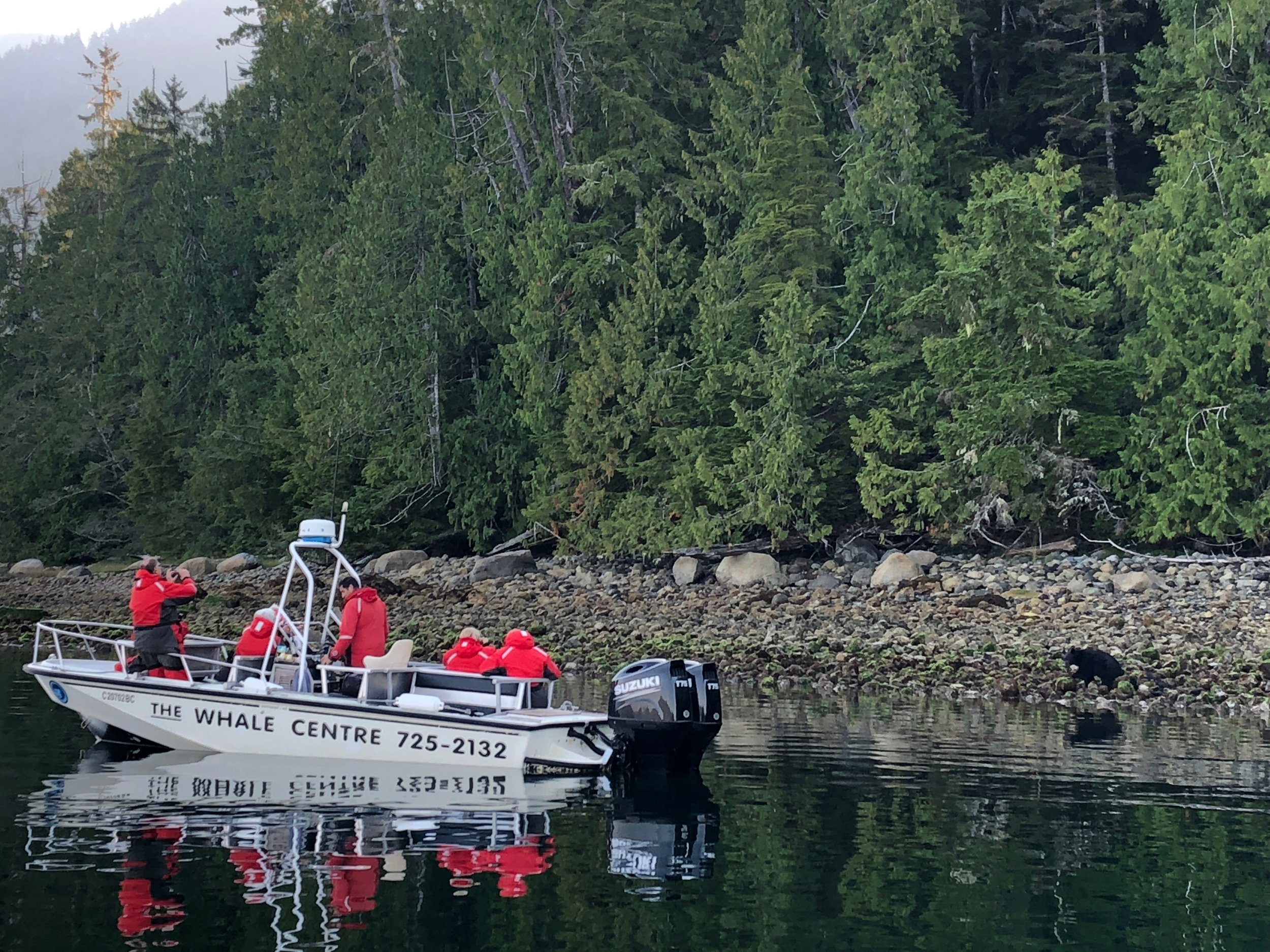 Tofino BeAR WATCHING TOUR