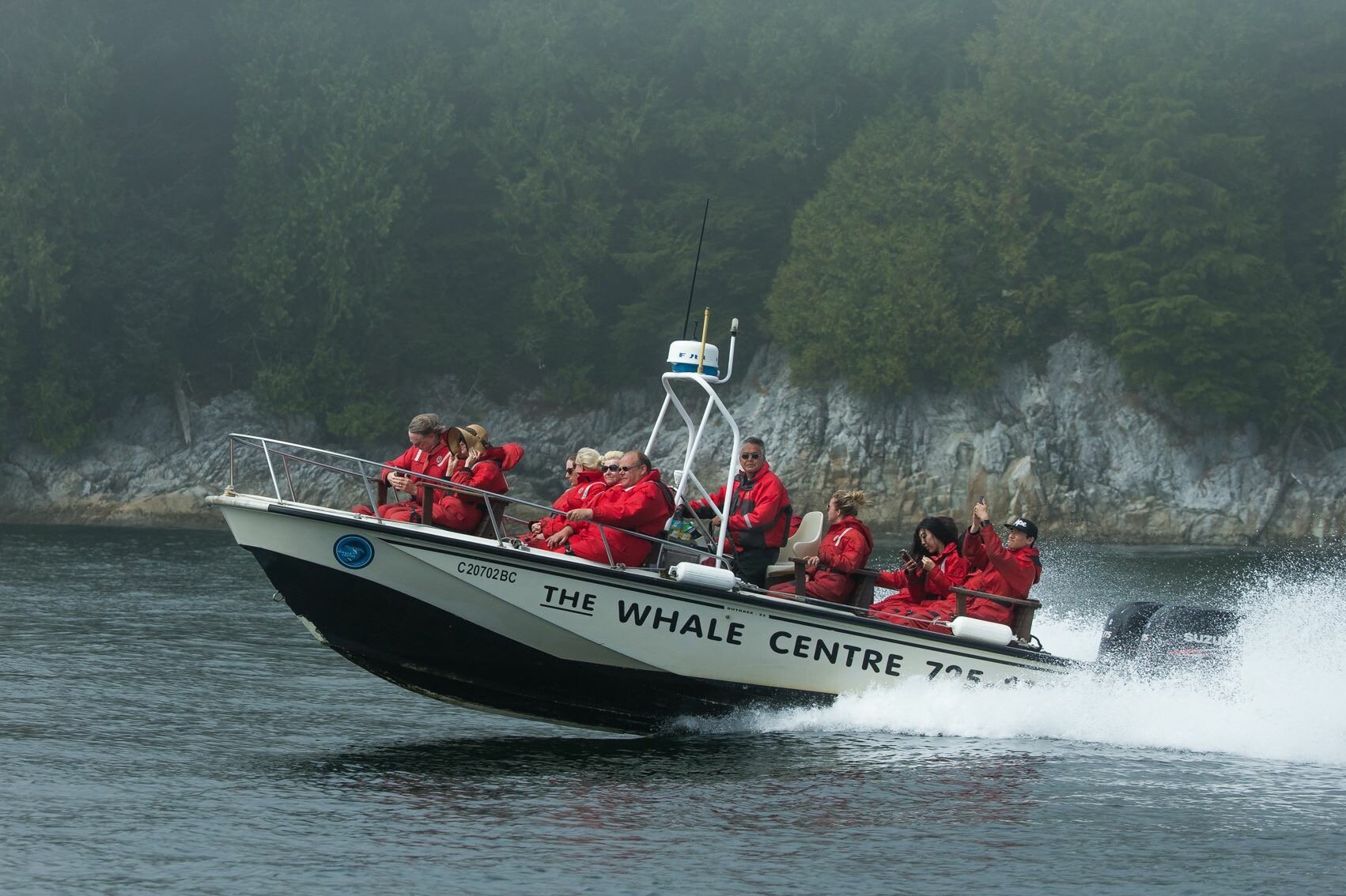 bear watching tour tofino