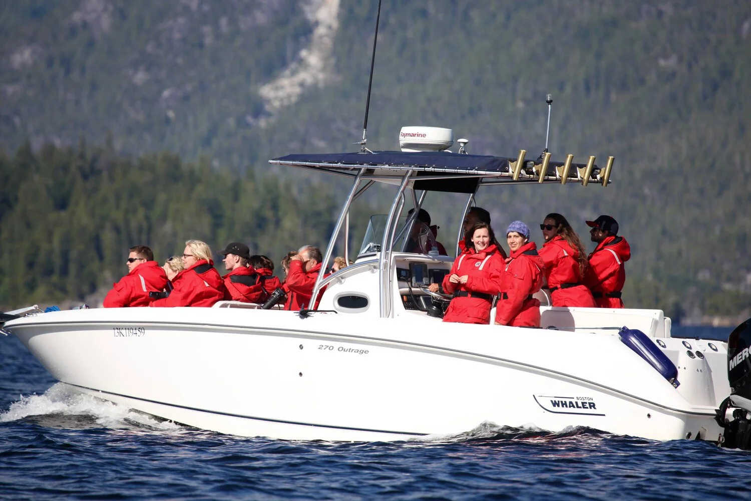 Whale Watching Tour Tofino
