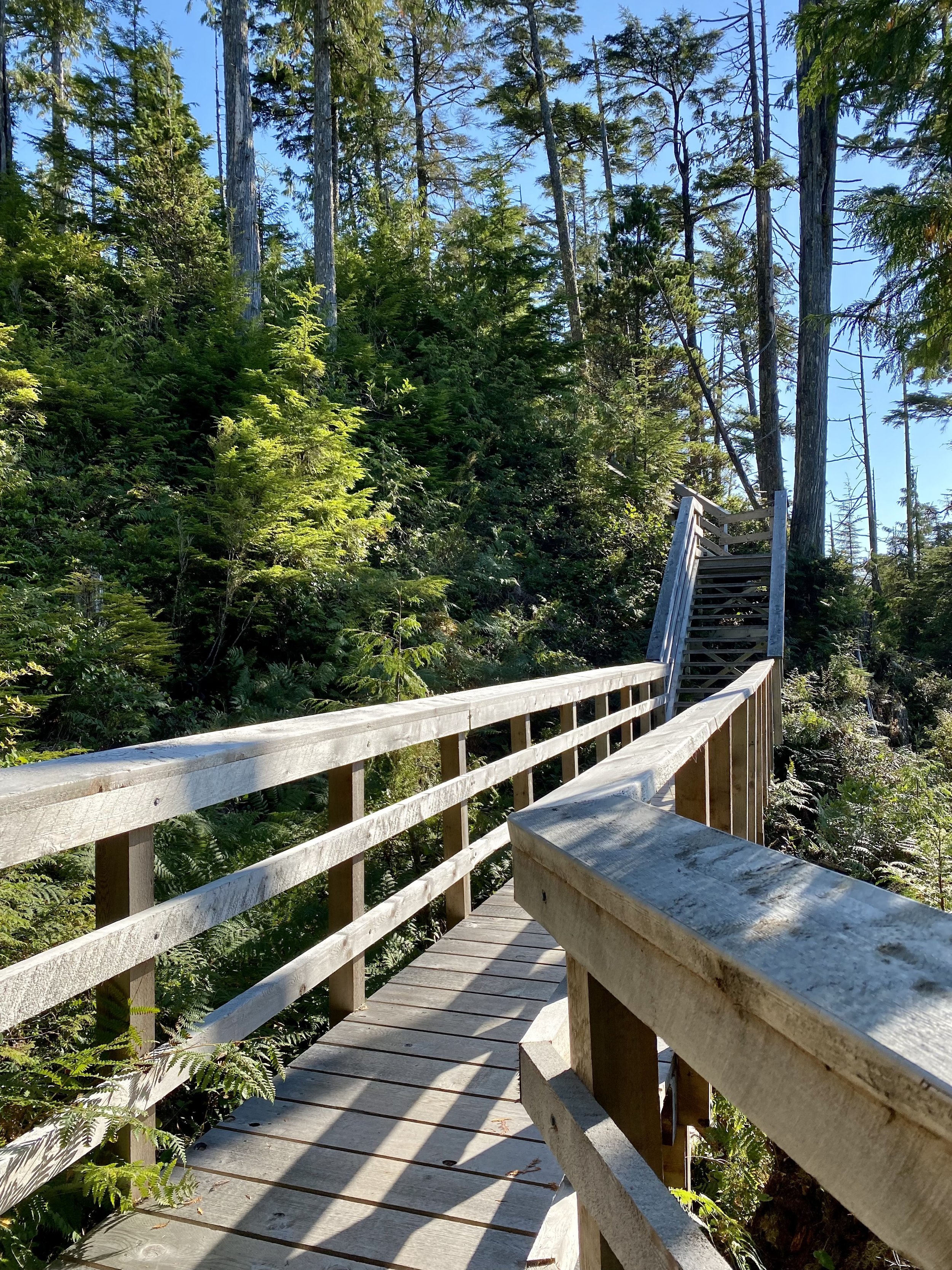 Tofino Hot Springs Tour & Soak .jpg