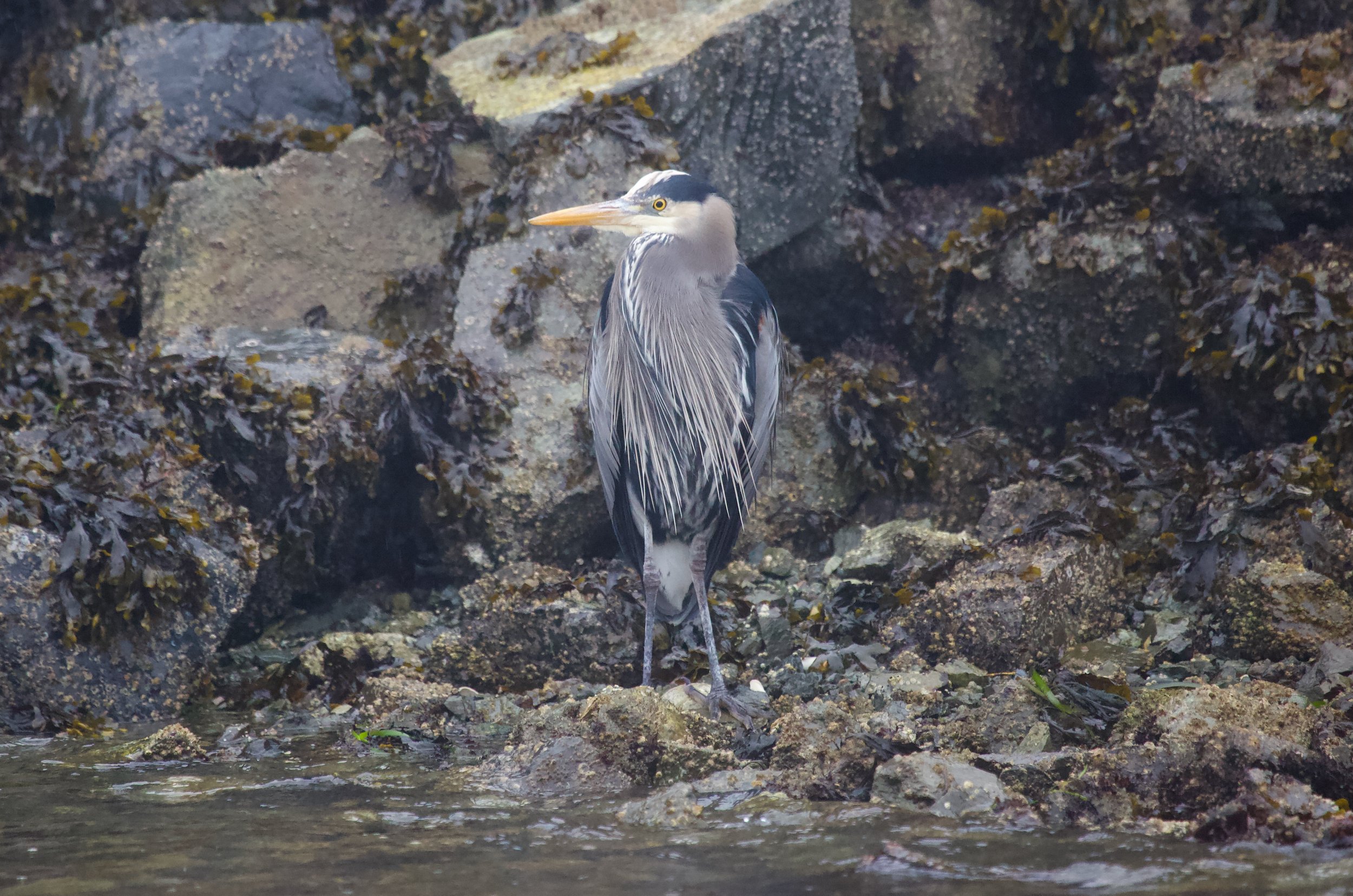 Bird Watching Tour.jpeg