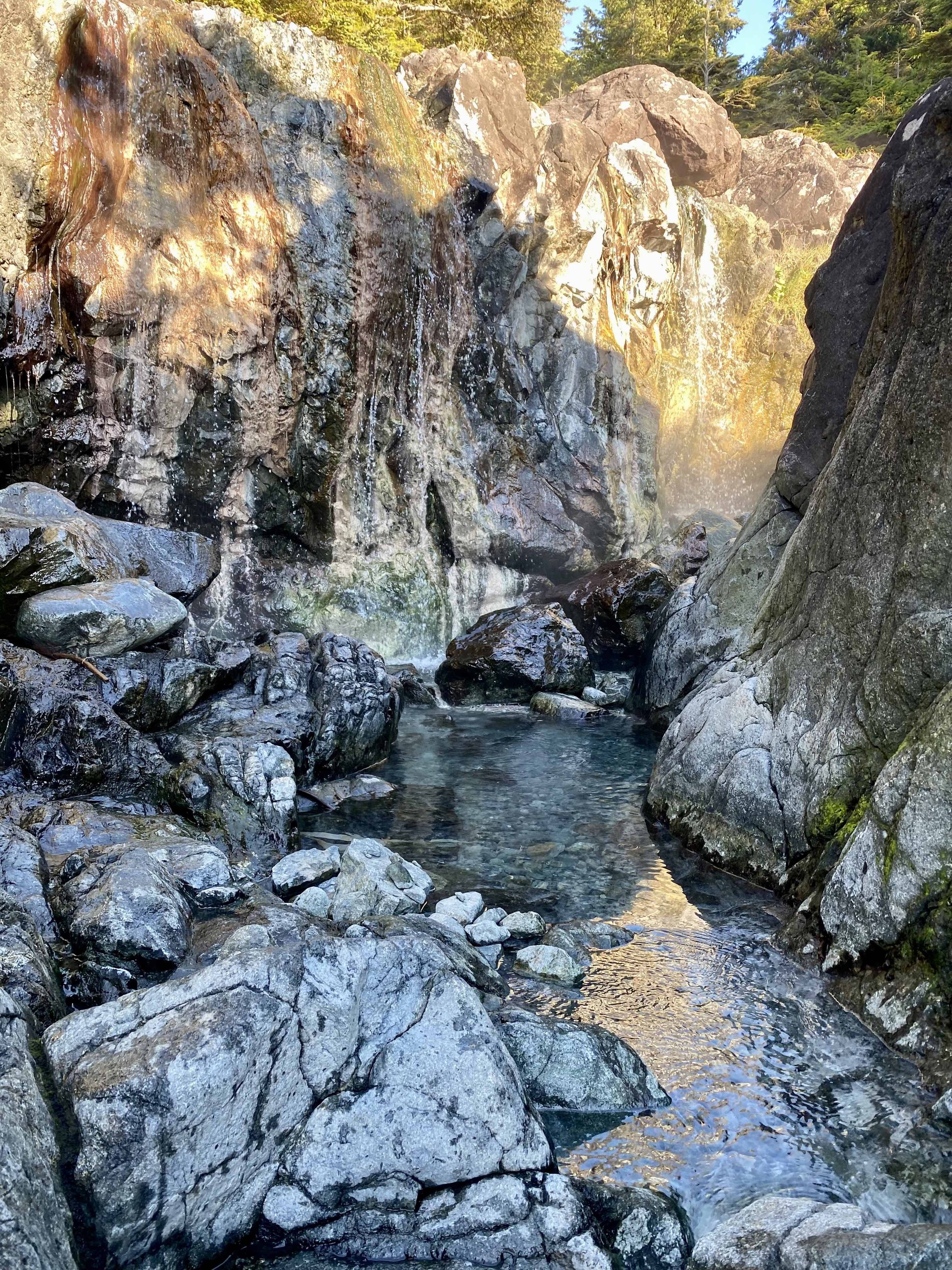 Tofino Hot Springs Tour.jpg