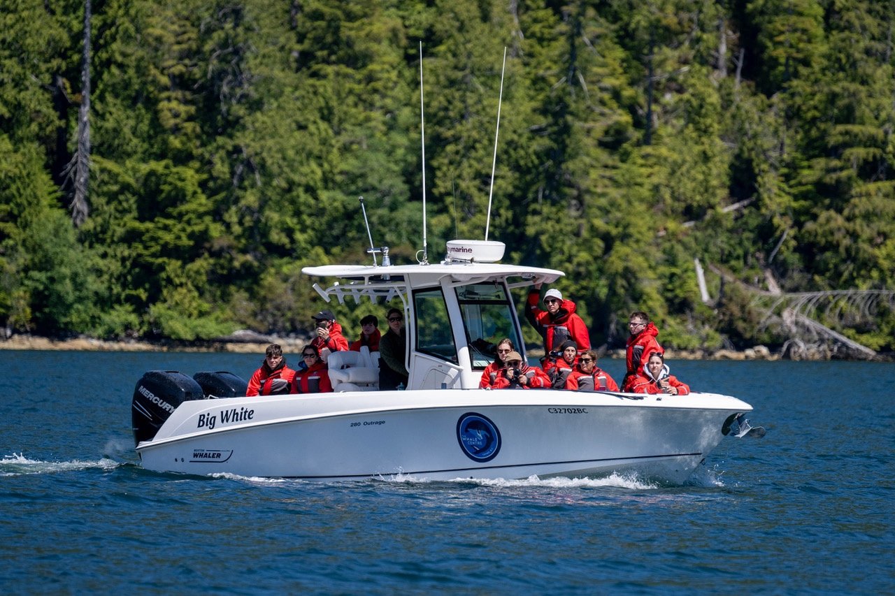 Tofino Whale Watching Tour.jpg