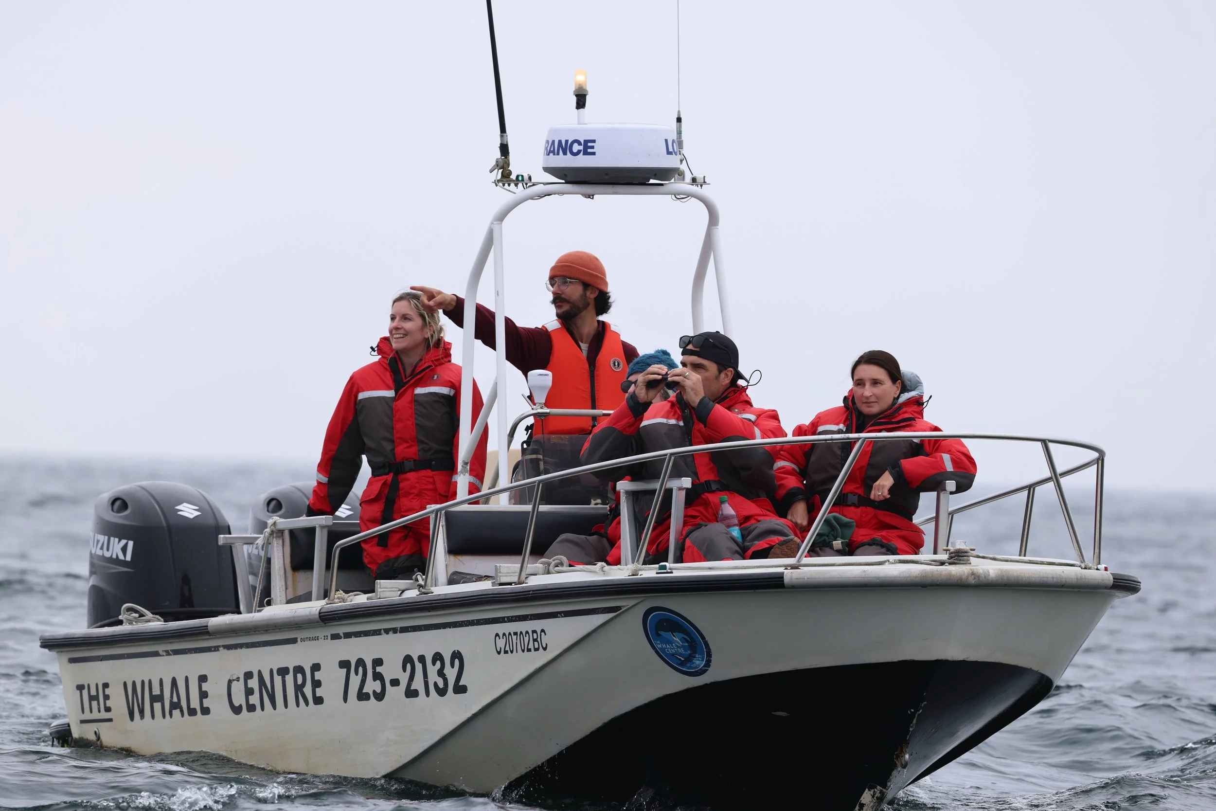 Tofino Bird Watching Tour Boat