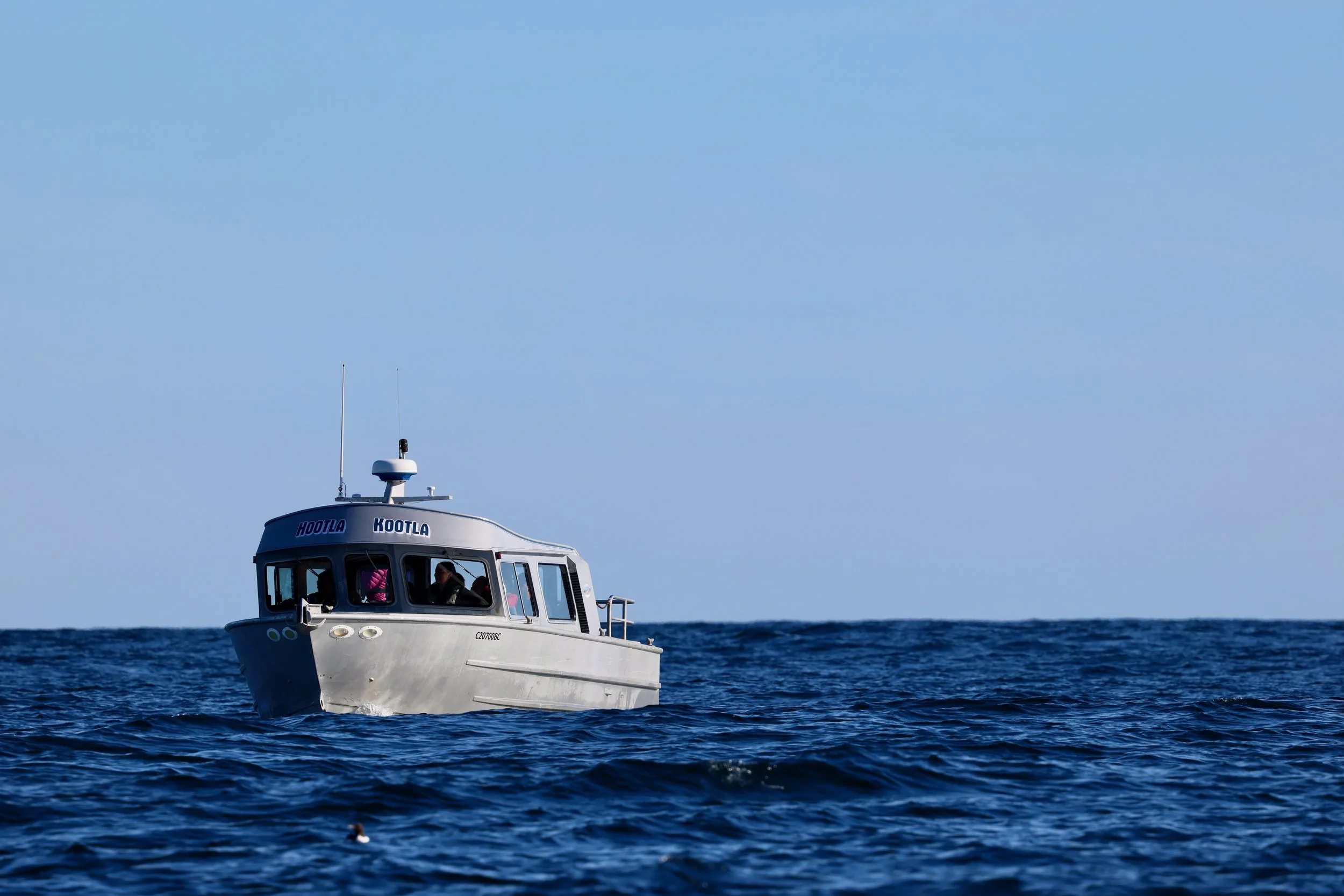 Sea Otter Tour Boat in Tofino