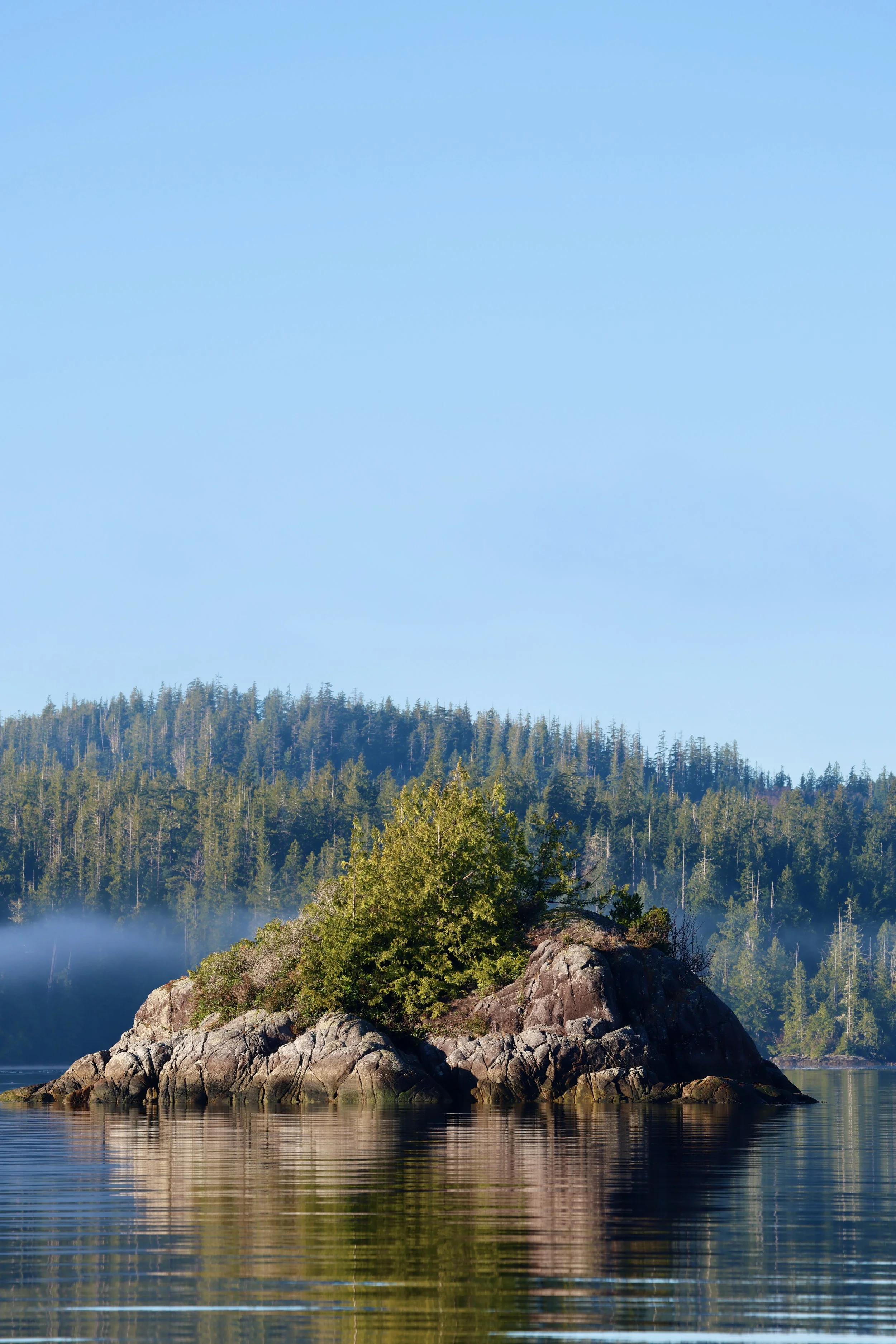 A small, rocky island with green trees surrounded by calm water, with a forested shoreline and blue sky in the background.