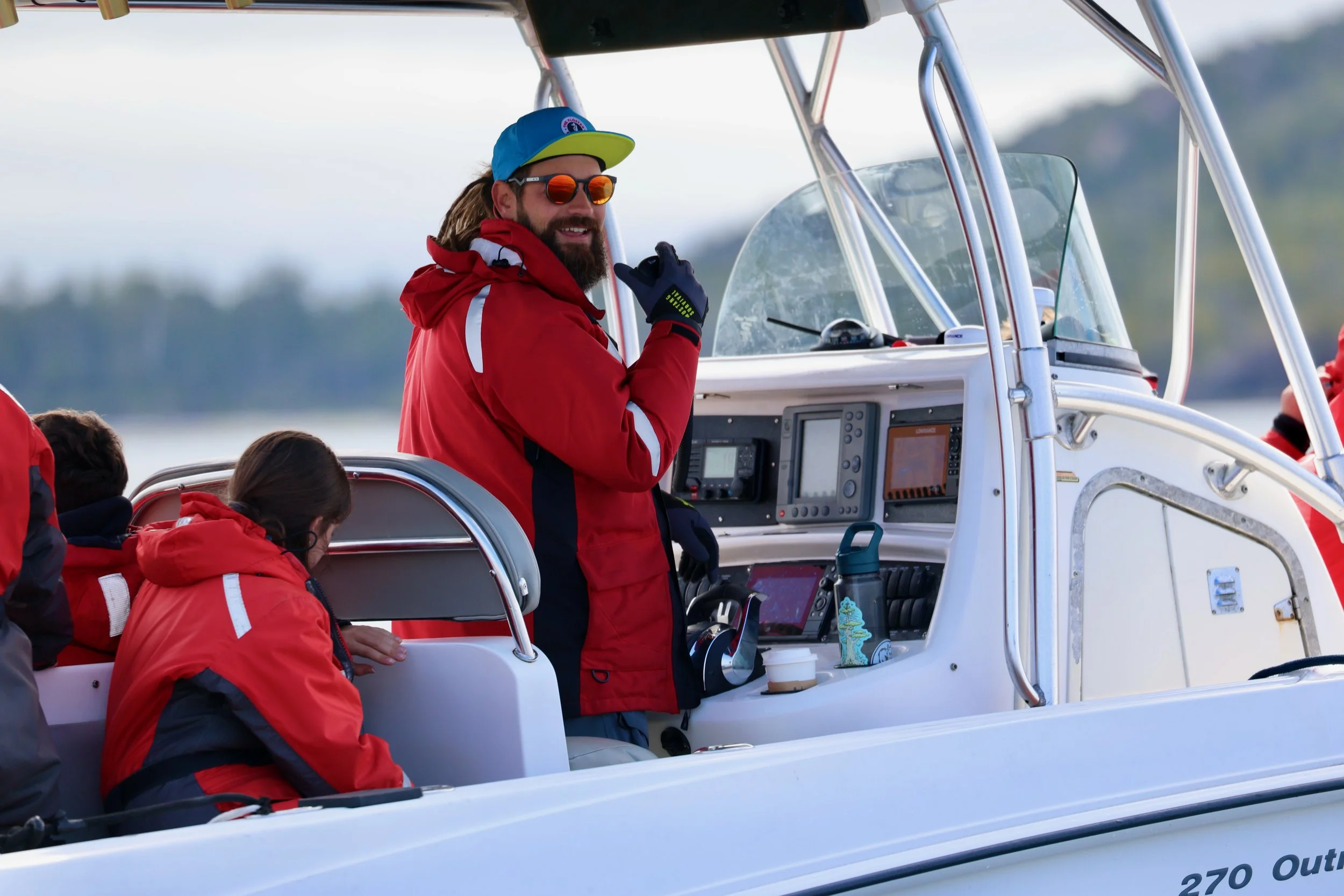 Tofino Bear Watching Tour Guide