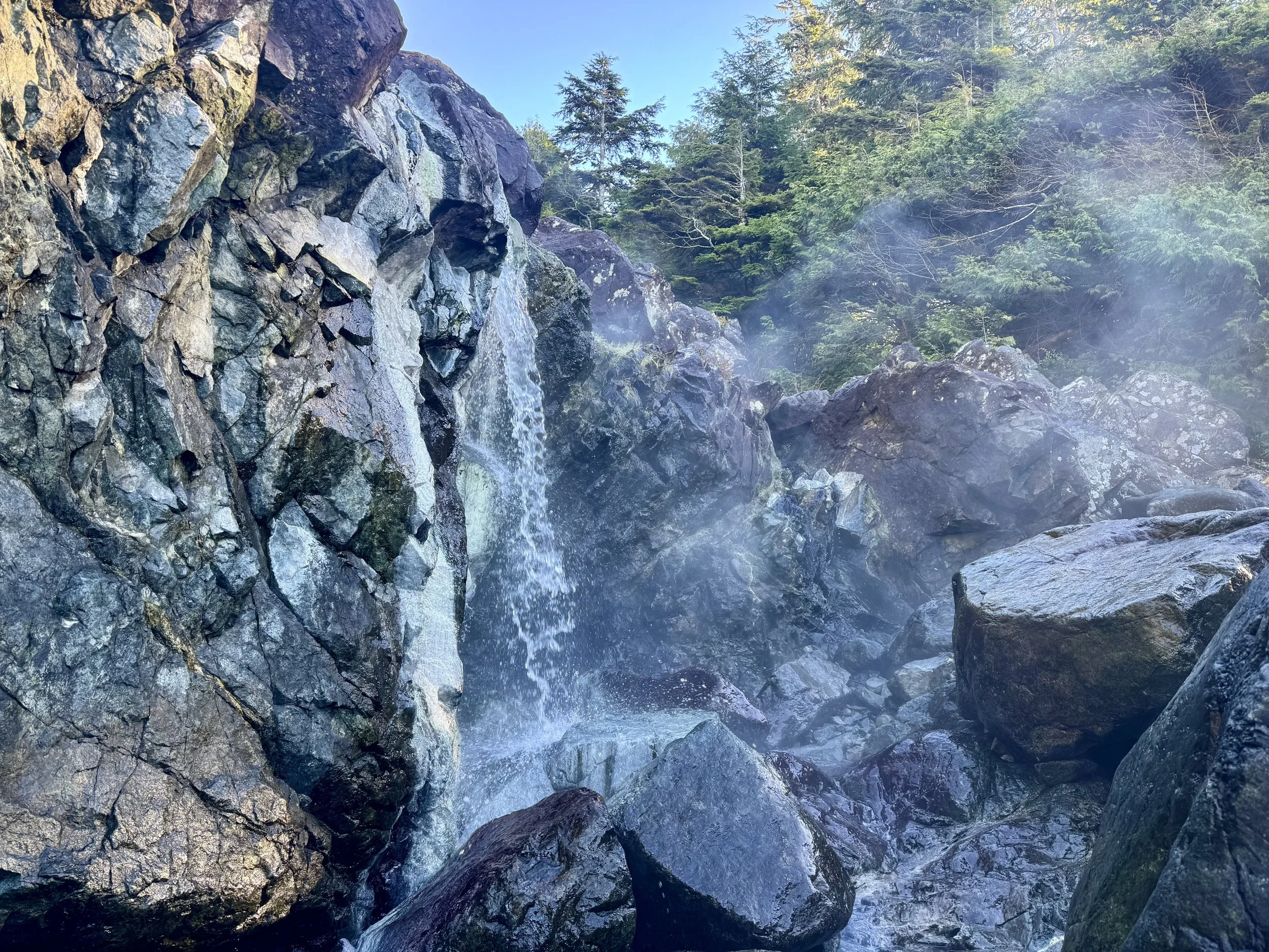 Hot Springs Tour Maquinna Park.jpg
