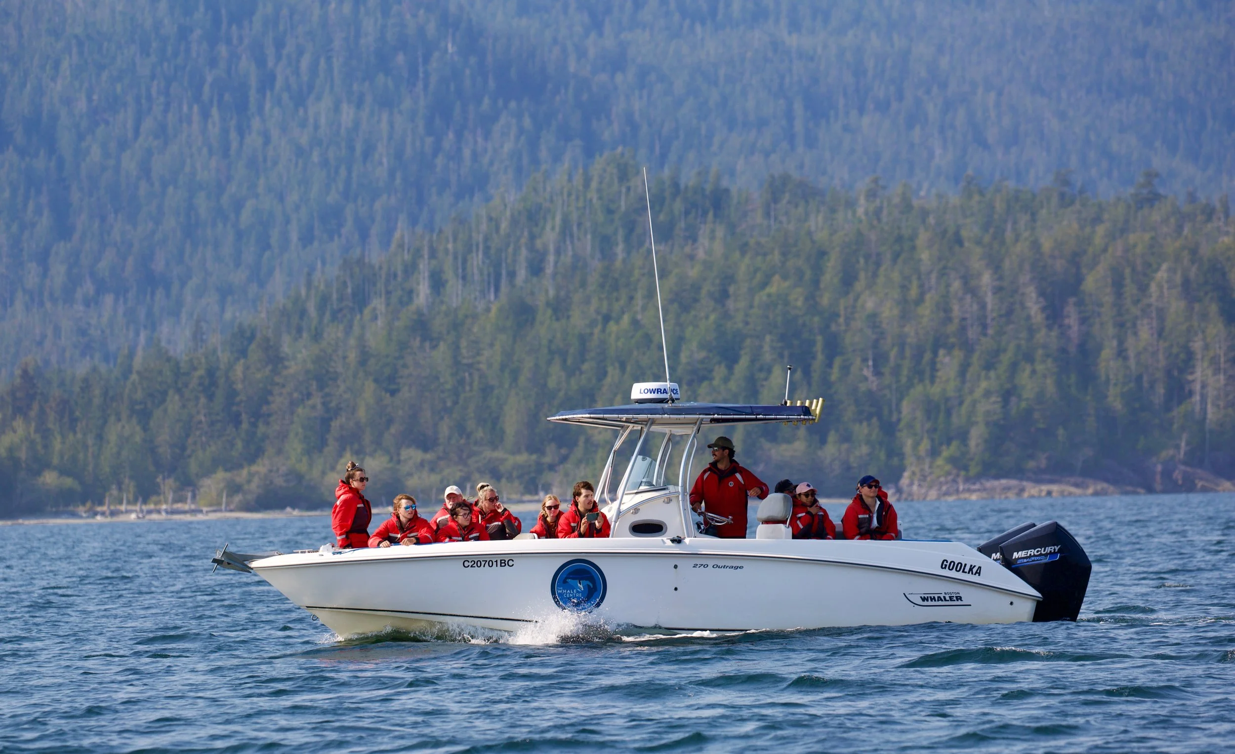Tofino Wildlife Tours at The Whale Centre