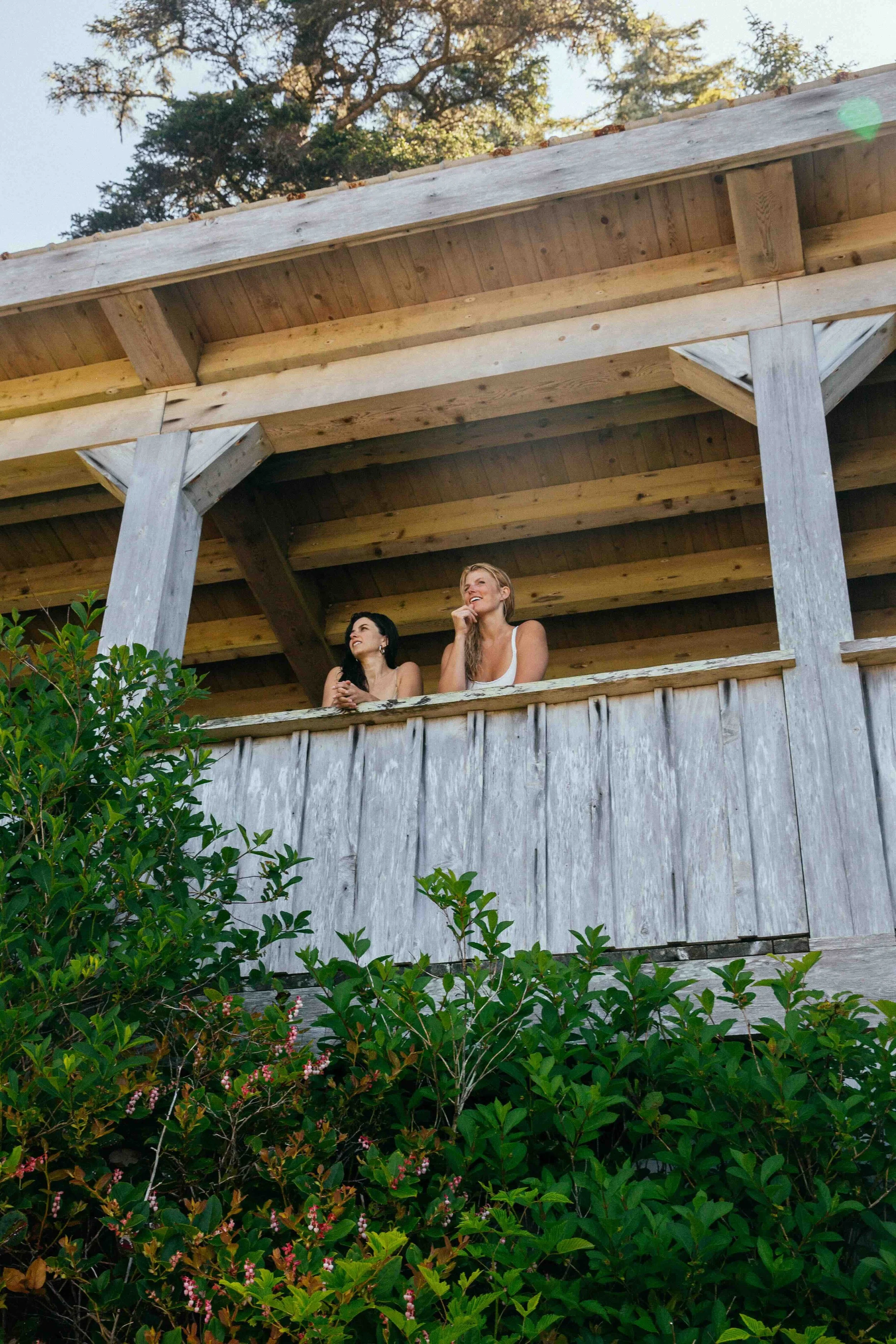 Tofino Hot Springs Tours