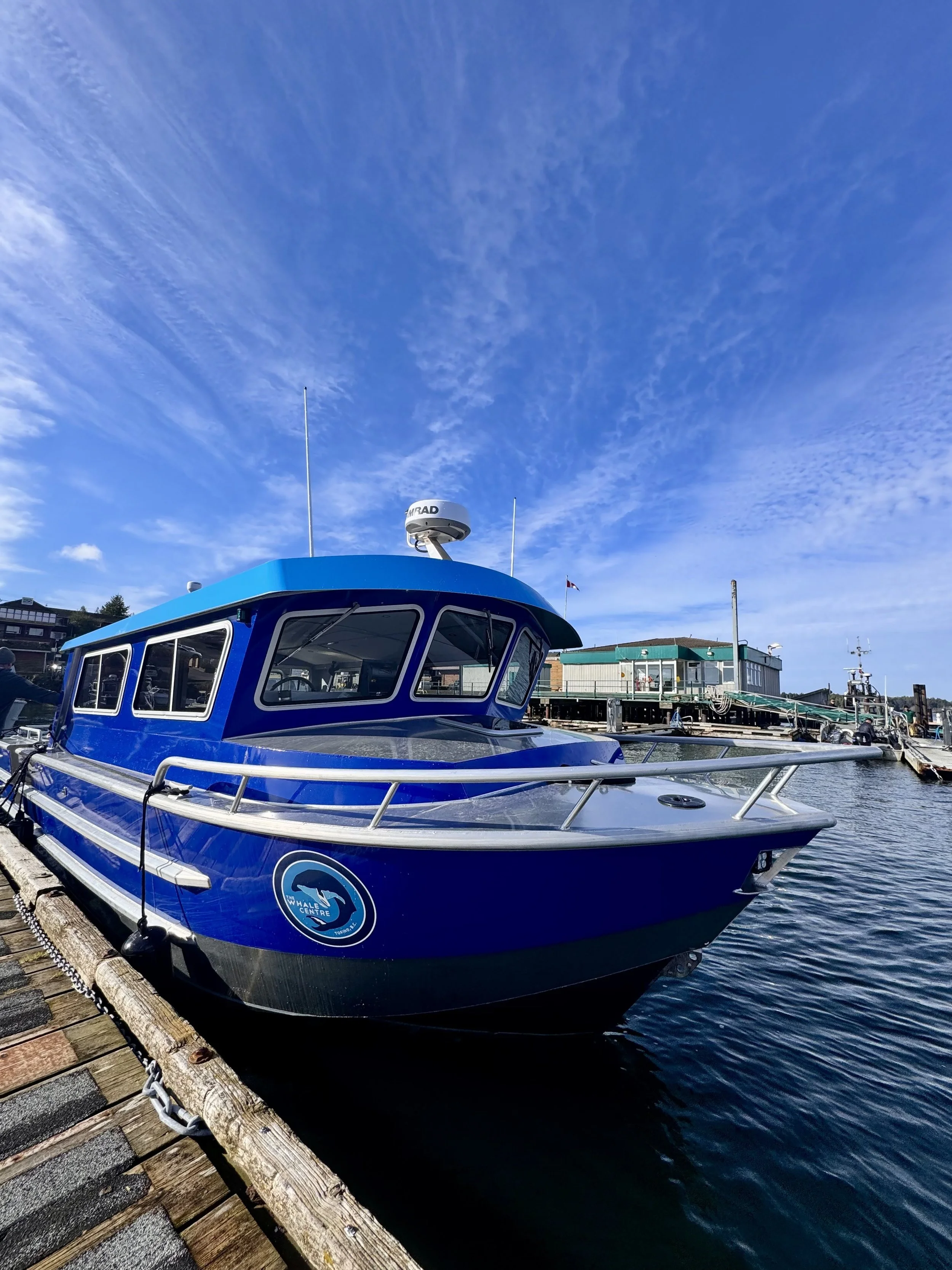 A blue boat docked at a marina under a clear blue sky with wispy clouds.