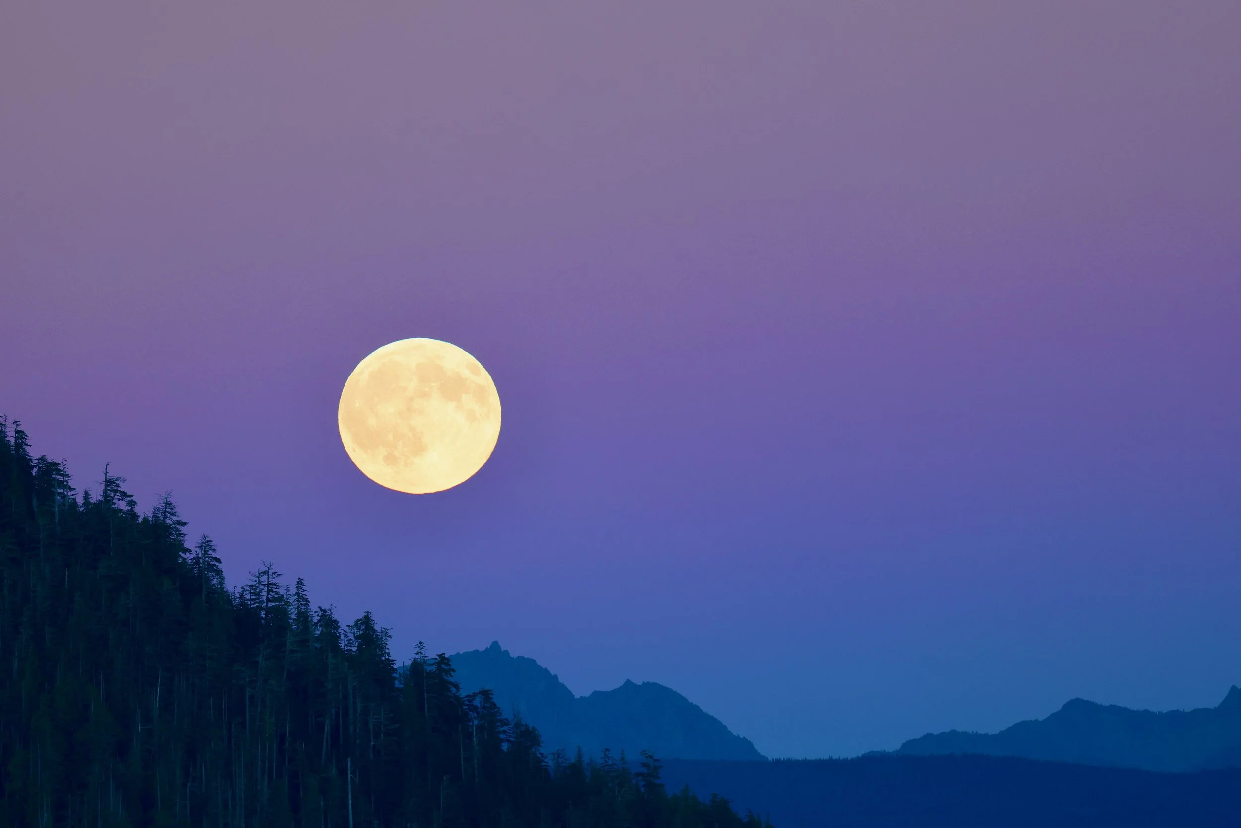 Moon rising in Tofino, BC 