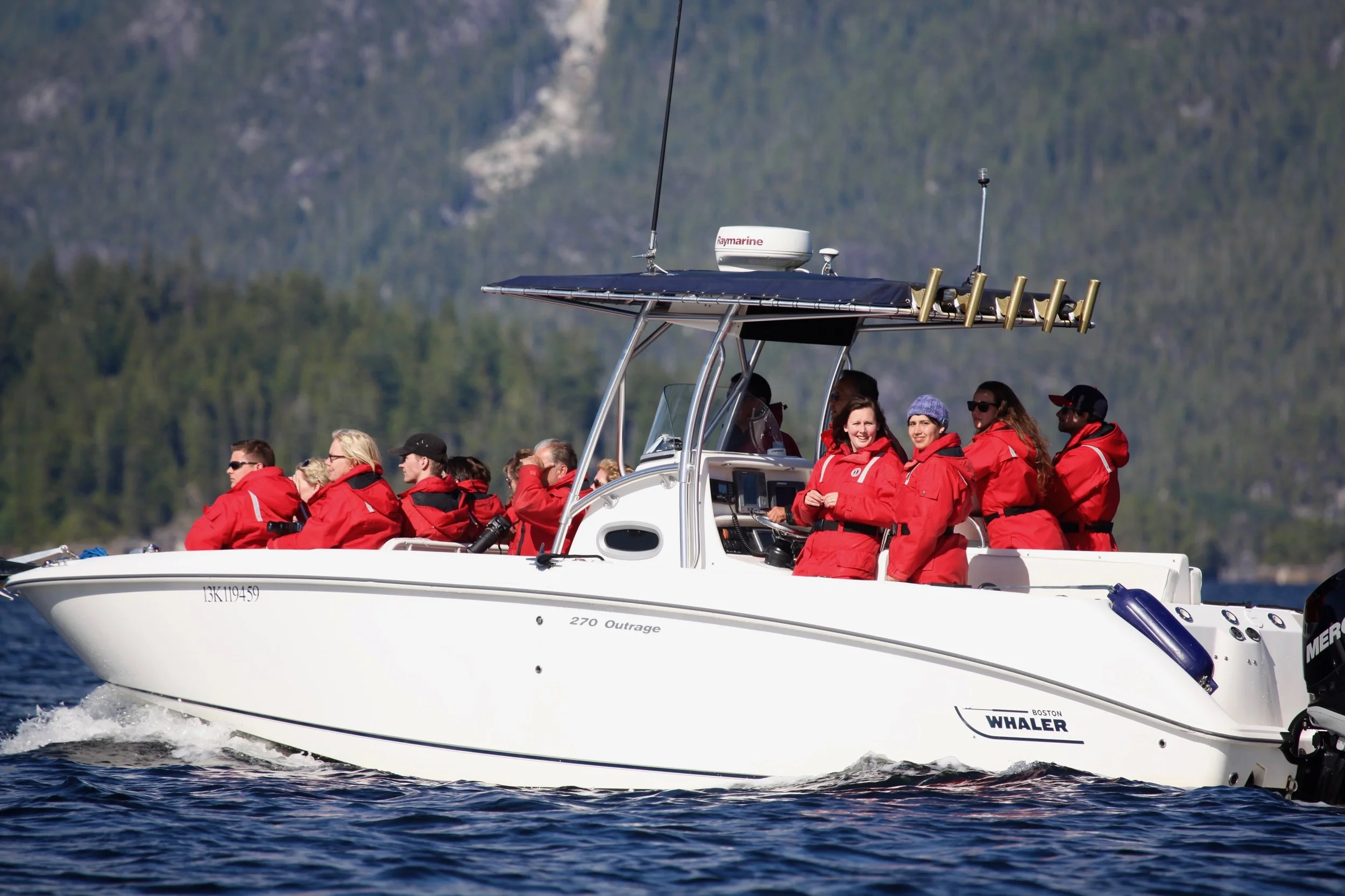 Tofino Whale Watching Tours