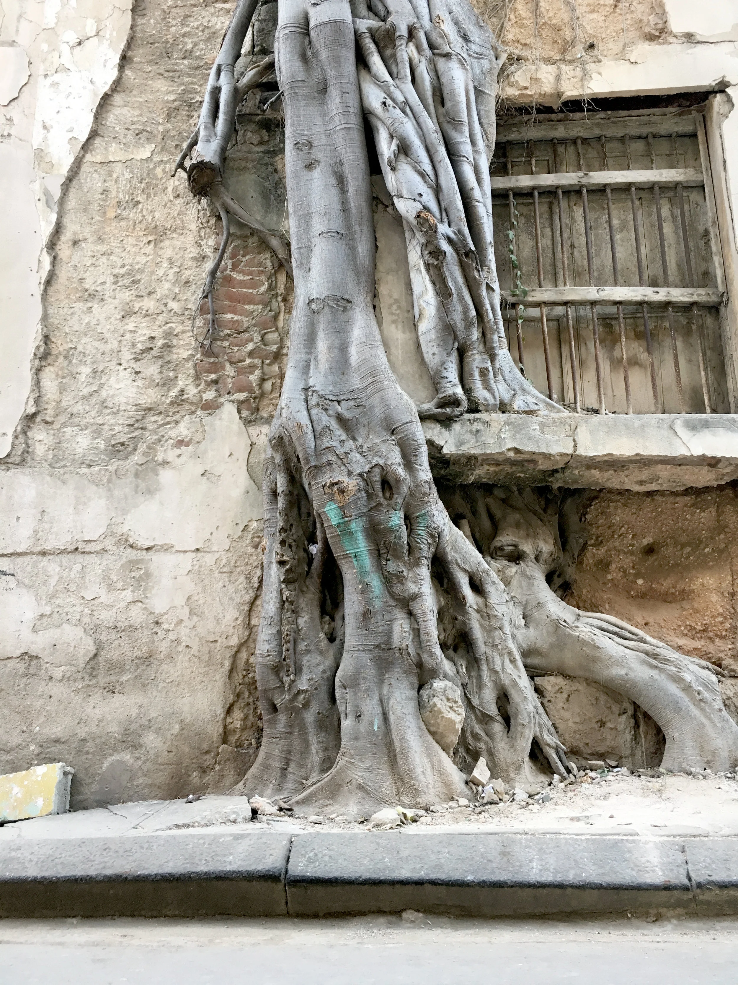Observation Havane, Cuba