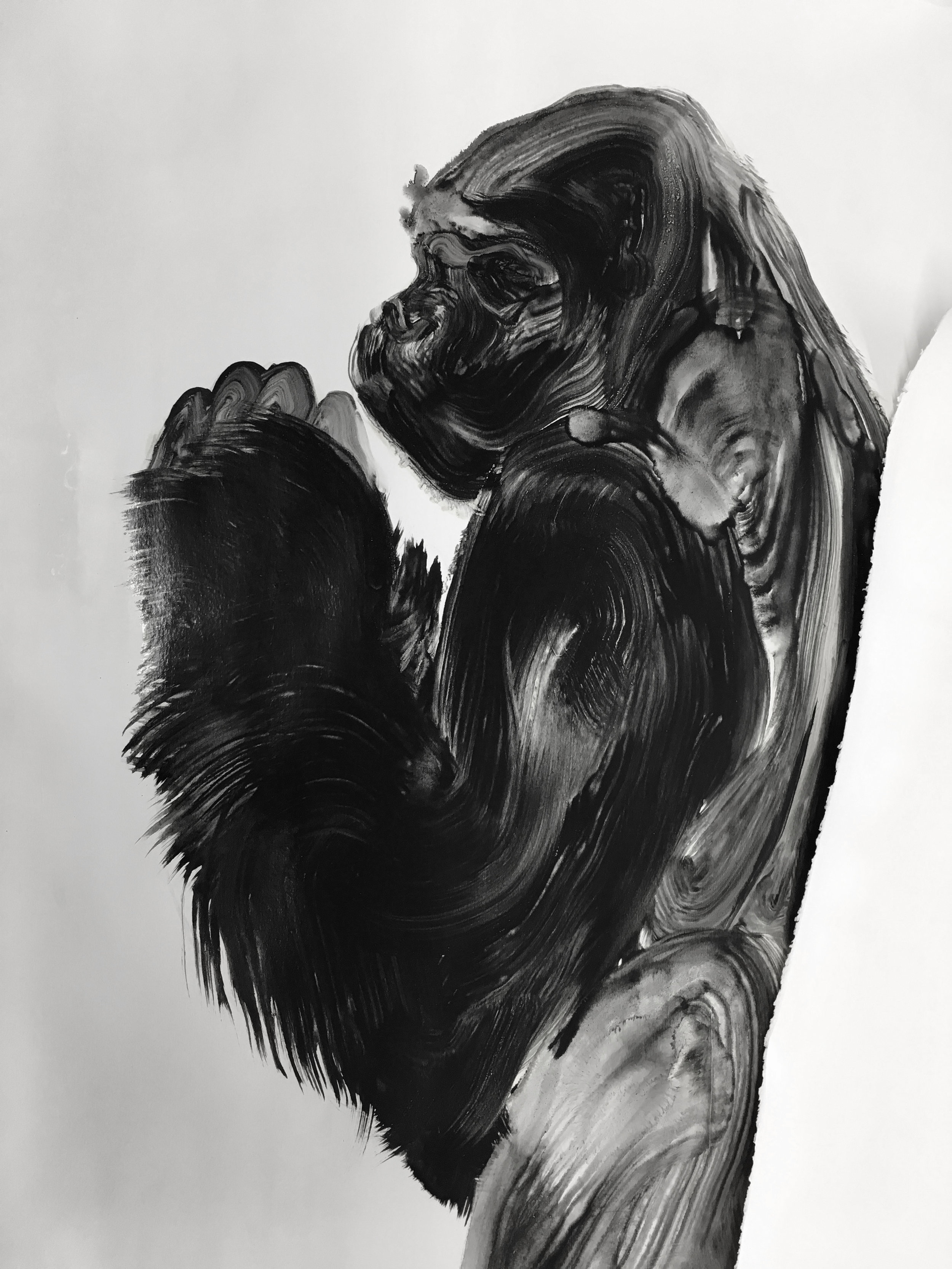  Détail, série des gorilles  Huile sur papier       