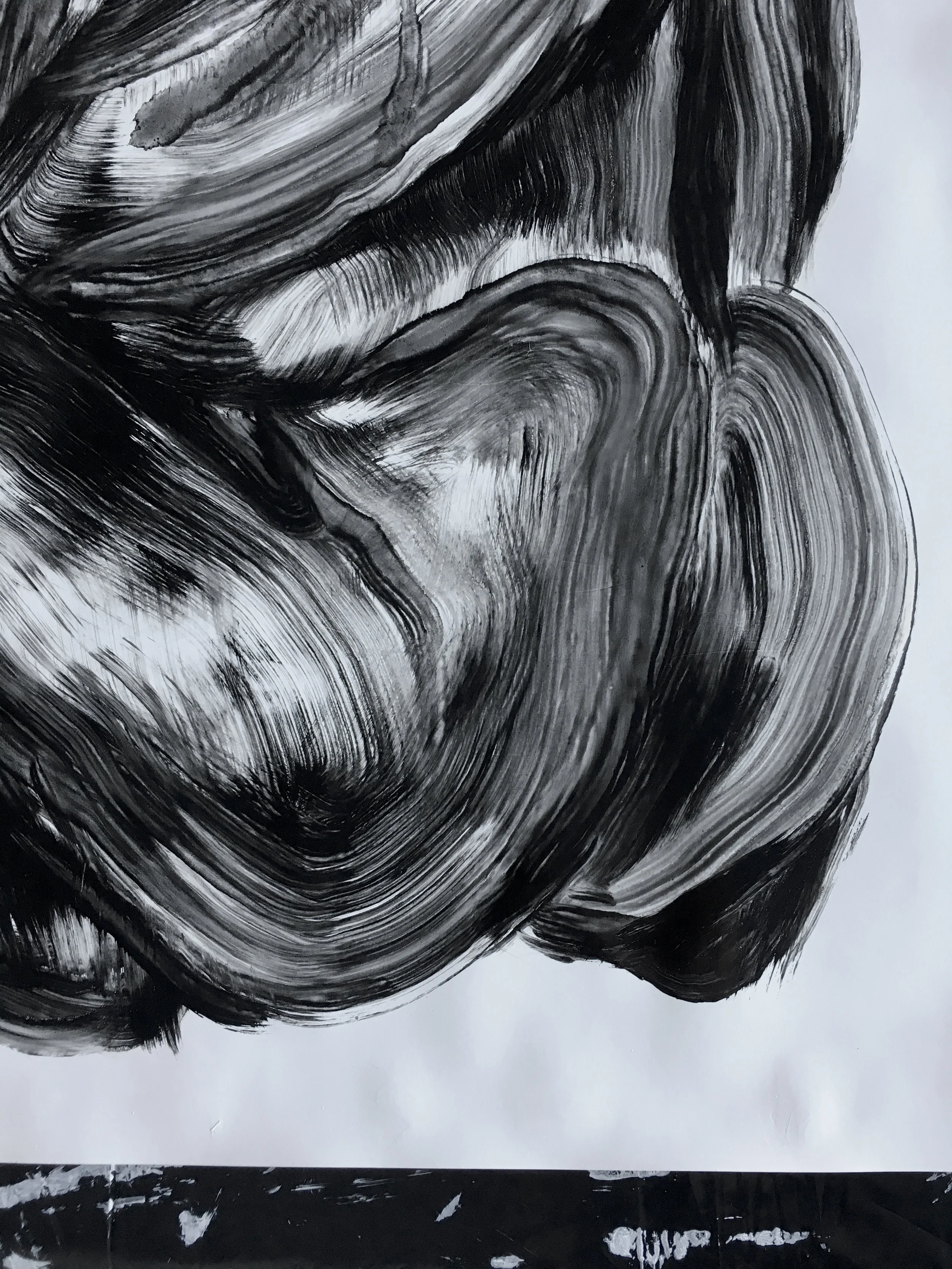 Détail, série des gorilles Huile sur papier