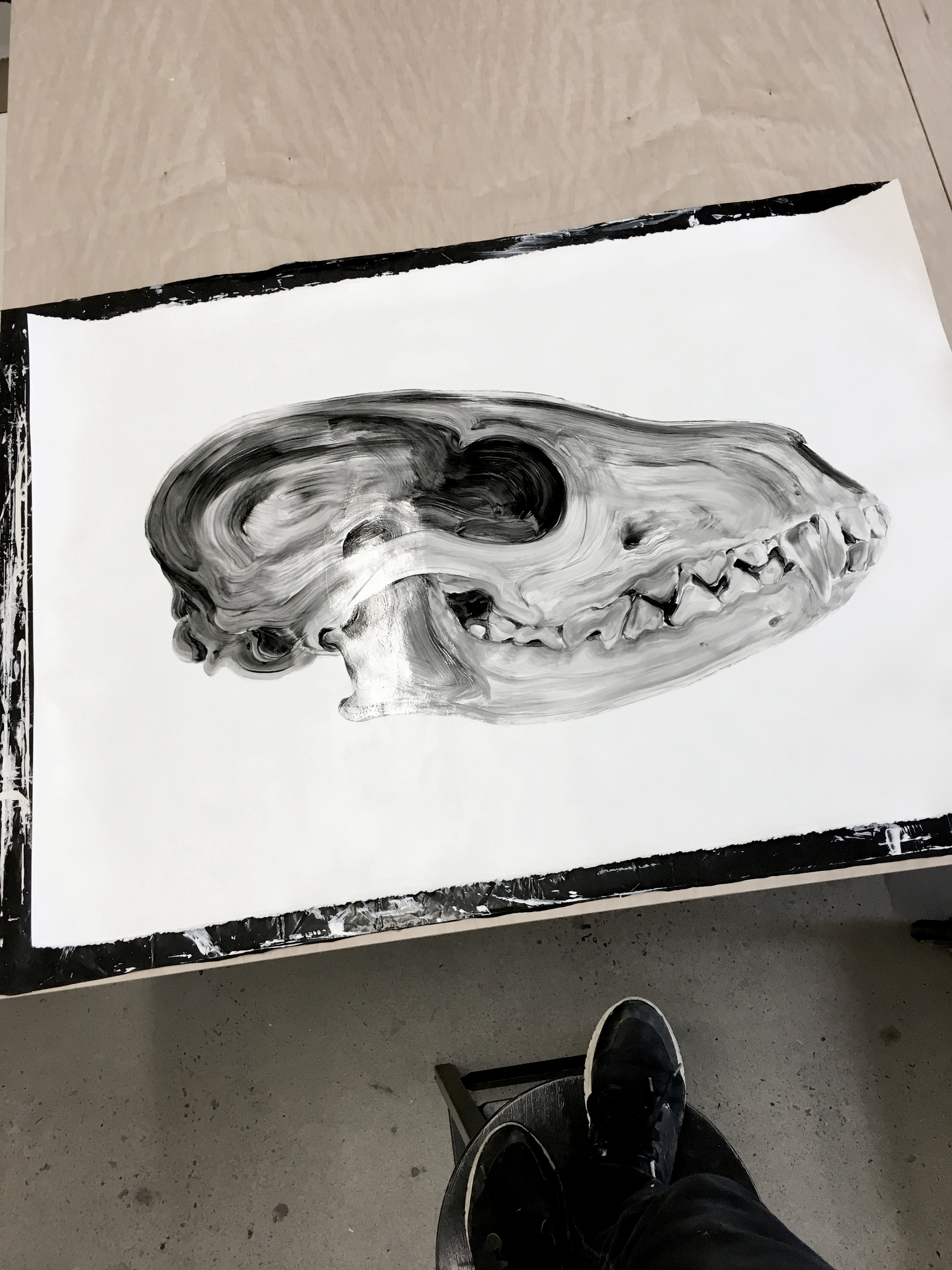  Crâne d'un renard  Huile sur papier    