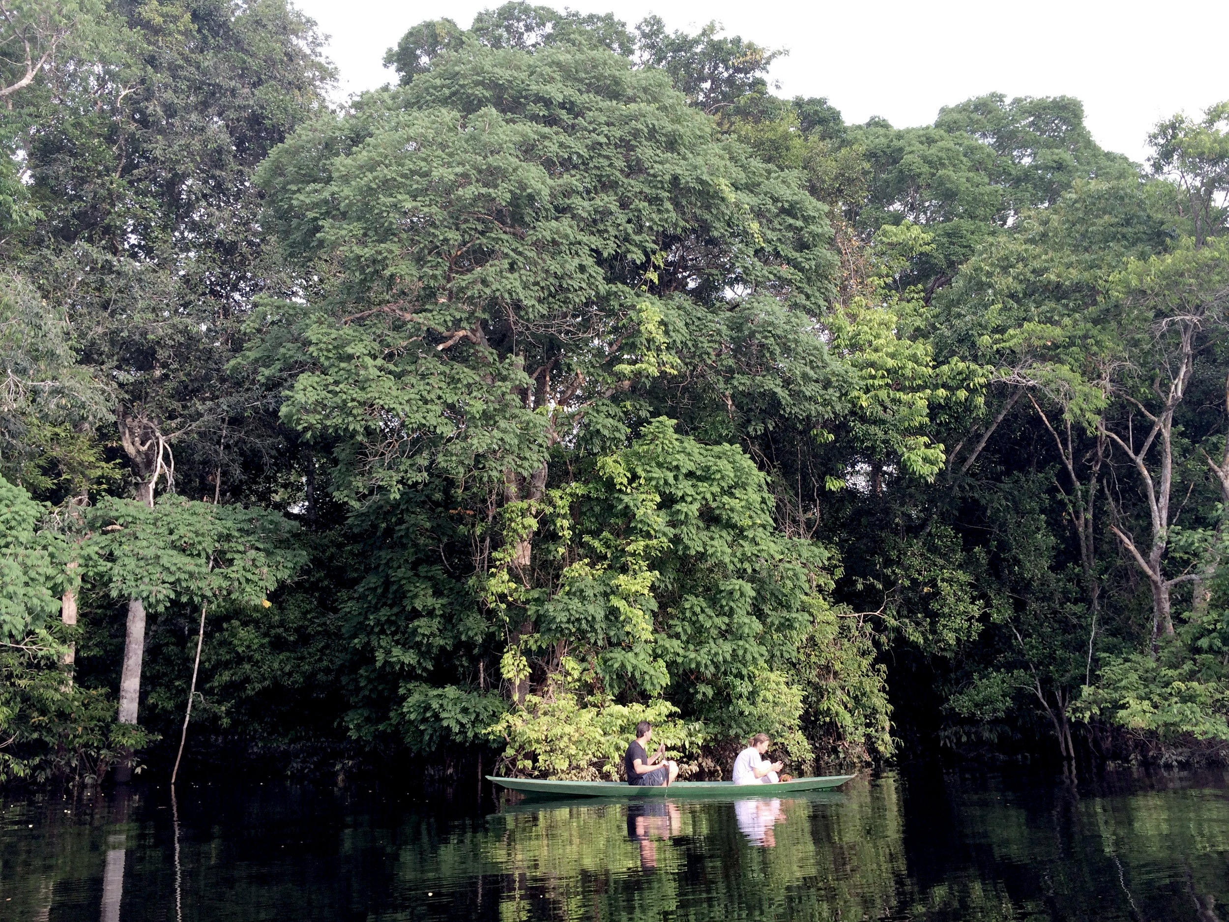  Amazonie, Brésil    