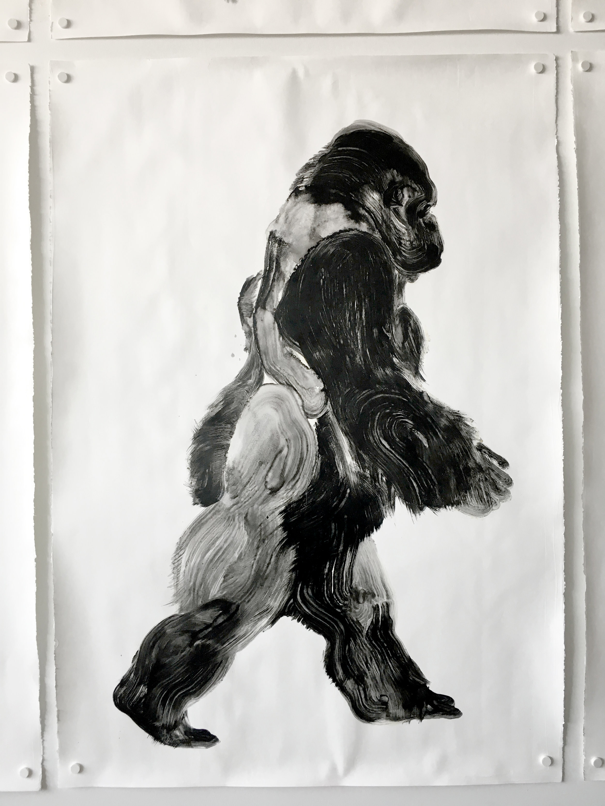  De la série des gorilles  Huile sur papier       