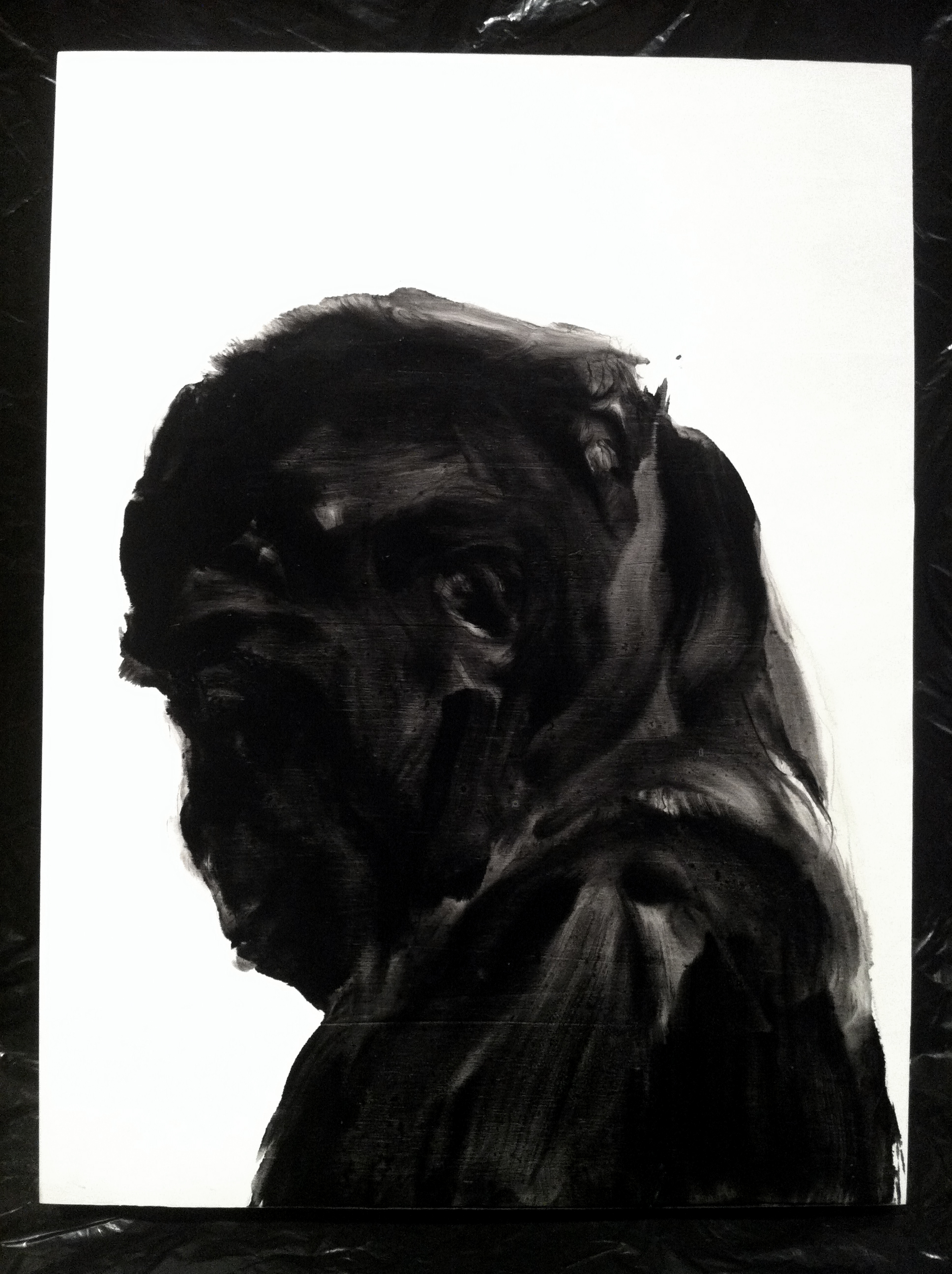  De la série des portraits de singes  Huile sur panneau    