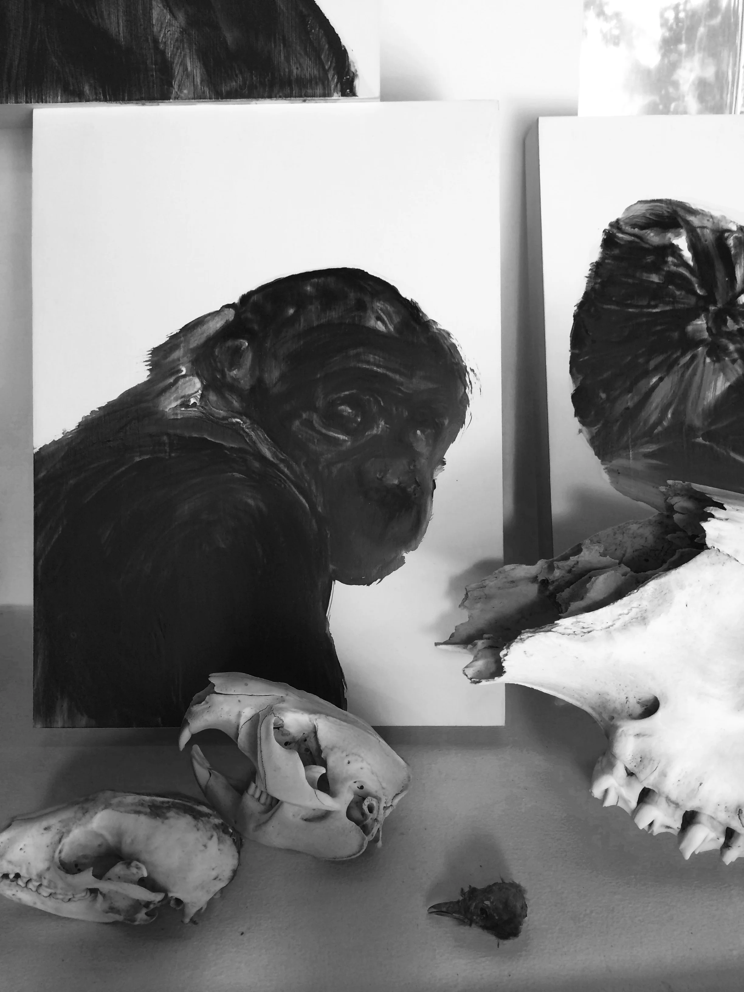 Détails, portrait de singe, sac, crâne Huile sur panneau