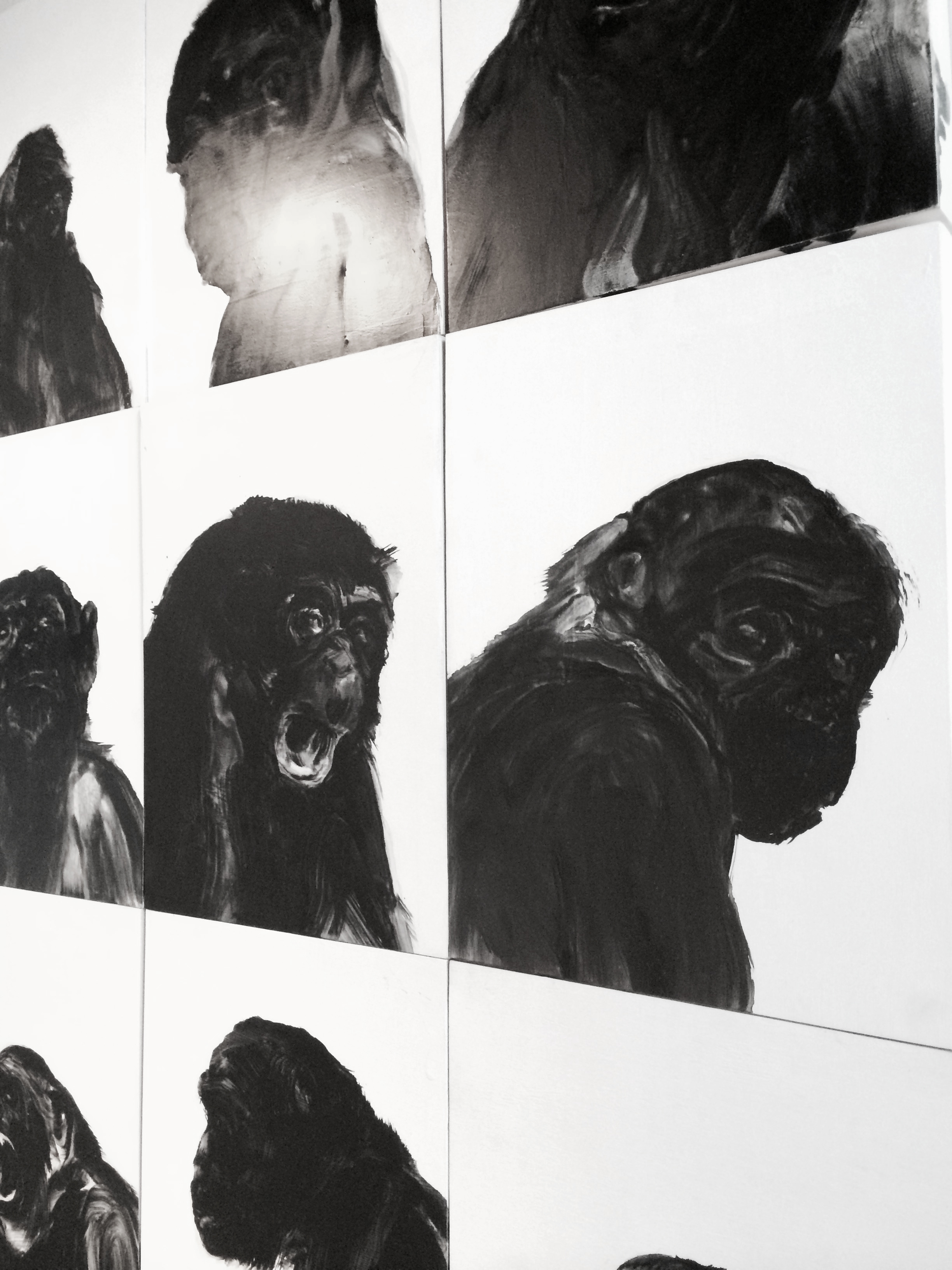  De la série des portraits de singes  Huile sur panneau    