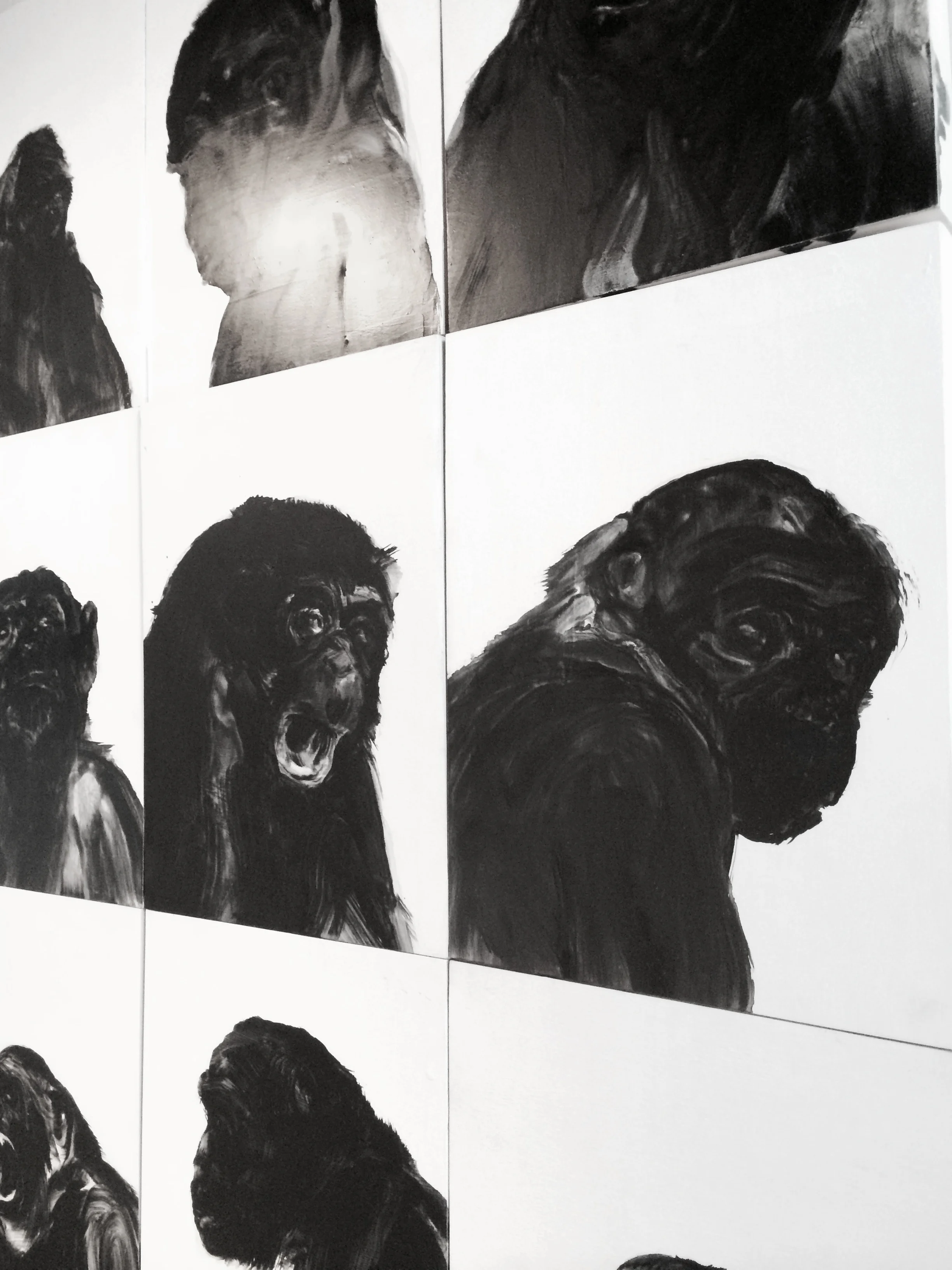 De la série des portraits de singes Huile sur panneau