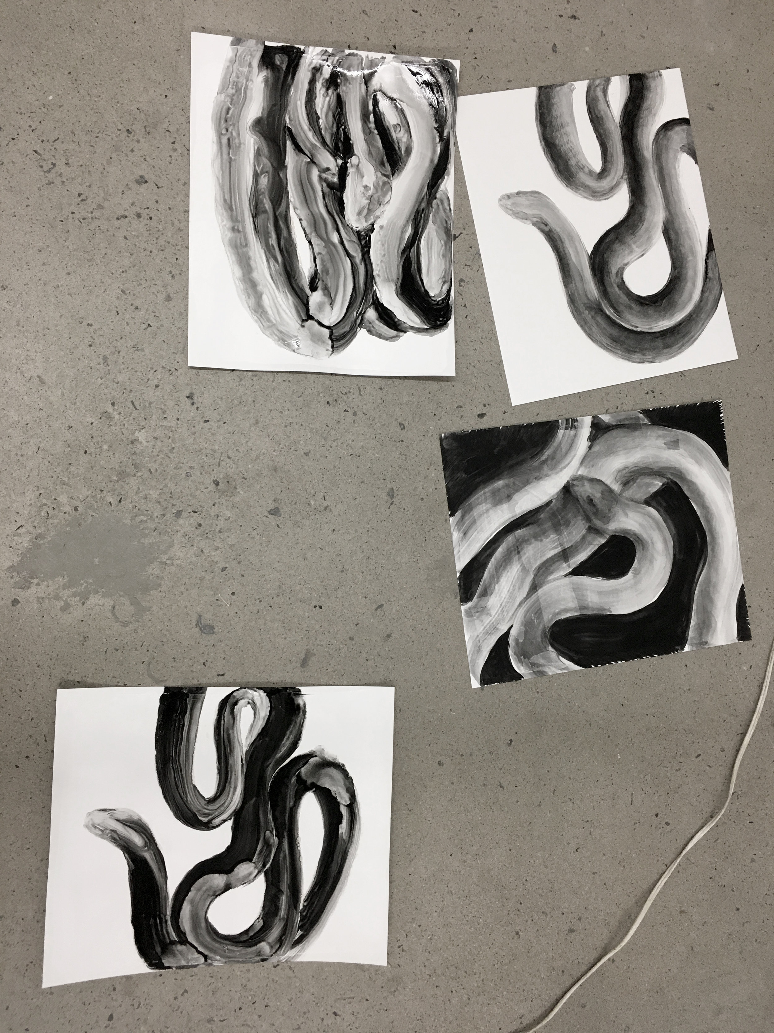  Études à l'huile sur papier, serpents    