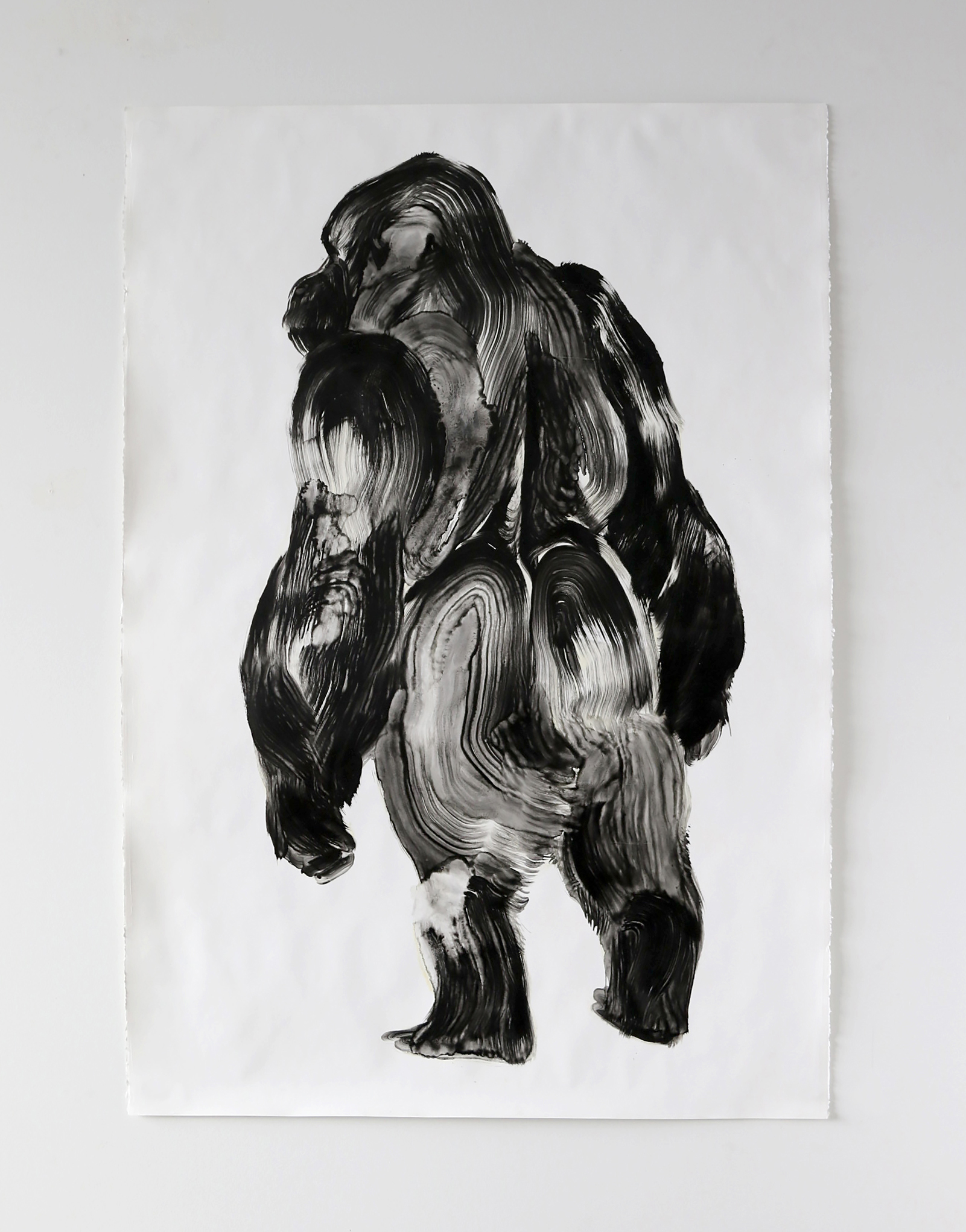  Silverback No.07  Huile sur papier  31 X 45 in /&nbsp;78 X 114 cm    