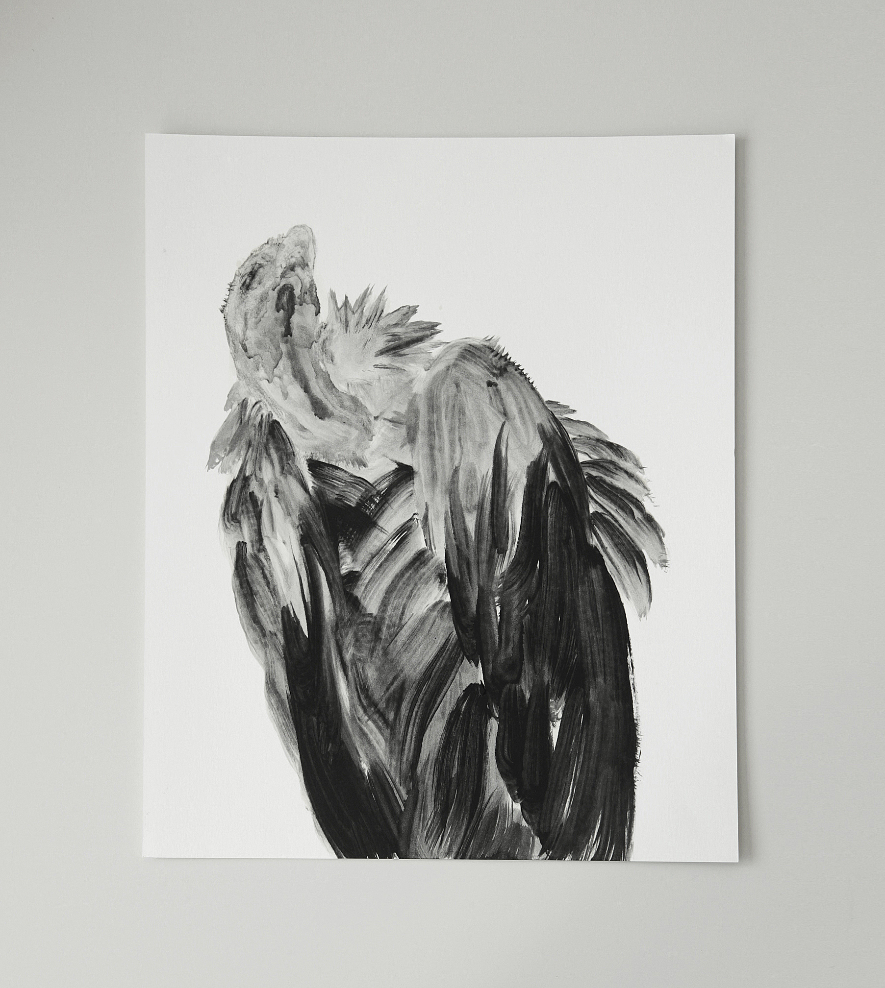  Vautour / Vulture  Huile sur papier / Oil on paper  12 X 16 in / 30 X 40 cm    