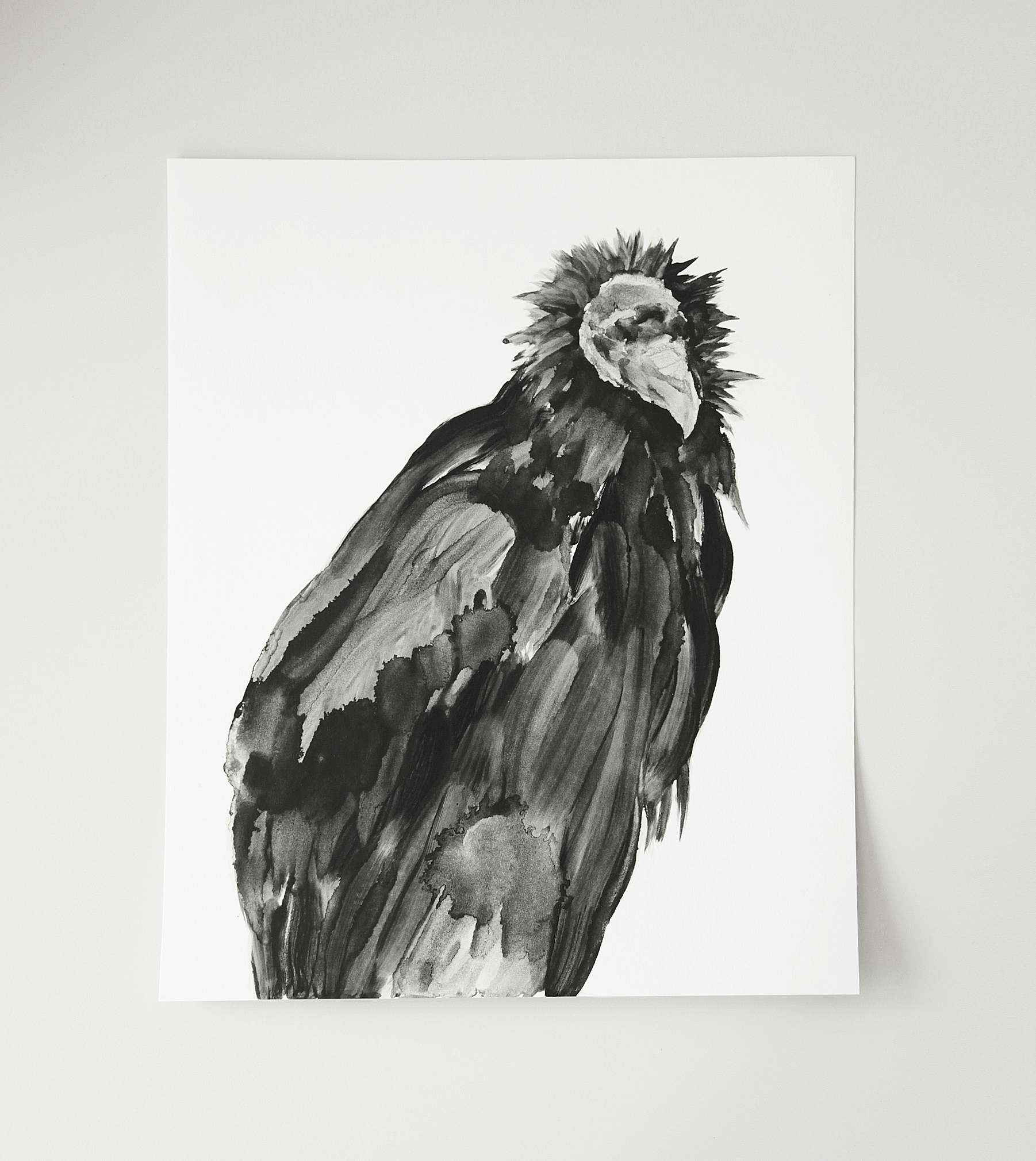  Vautour / Vulture  Huile sur papier / Oil on paper  12 X 16 in / 30 X 40 cm    