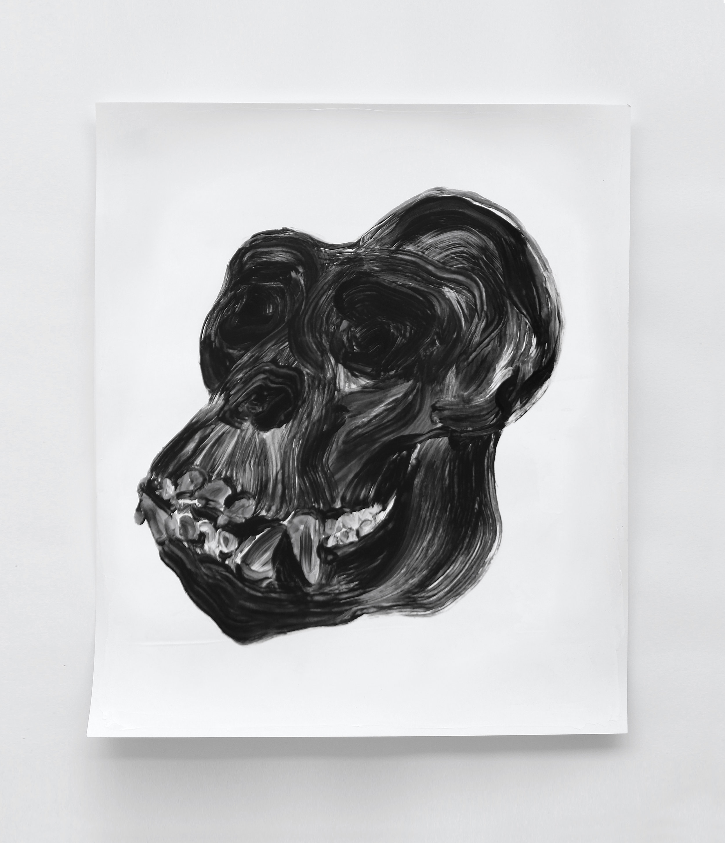  Crâne de gorille / Gorilla skull  Huile sur papier / Oil on paper  12 X 16 in / 30 X 40 cm    