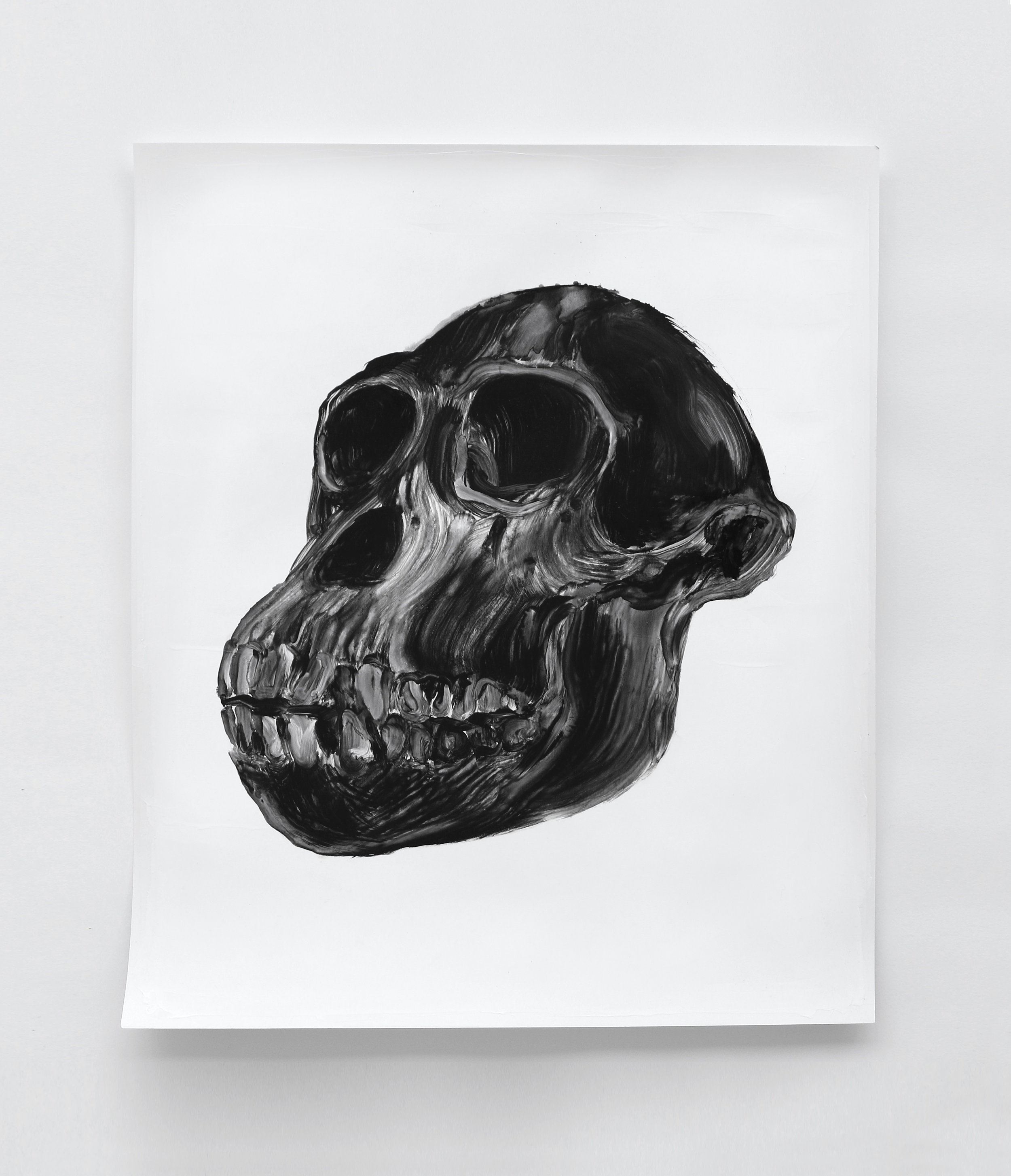  Crâne / Skull  Huile sur papier / Oil on paper  12 X 16 in / 30 X 40 cm    