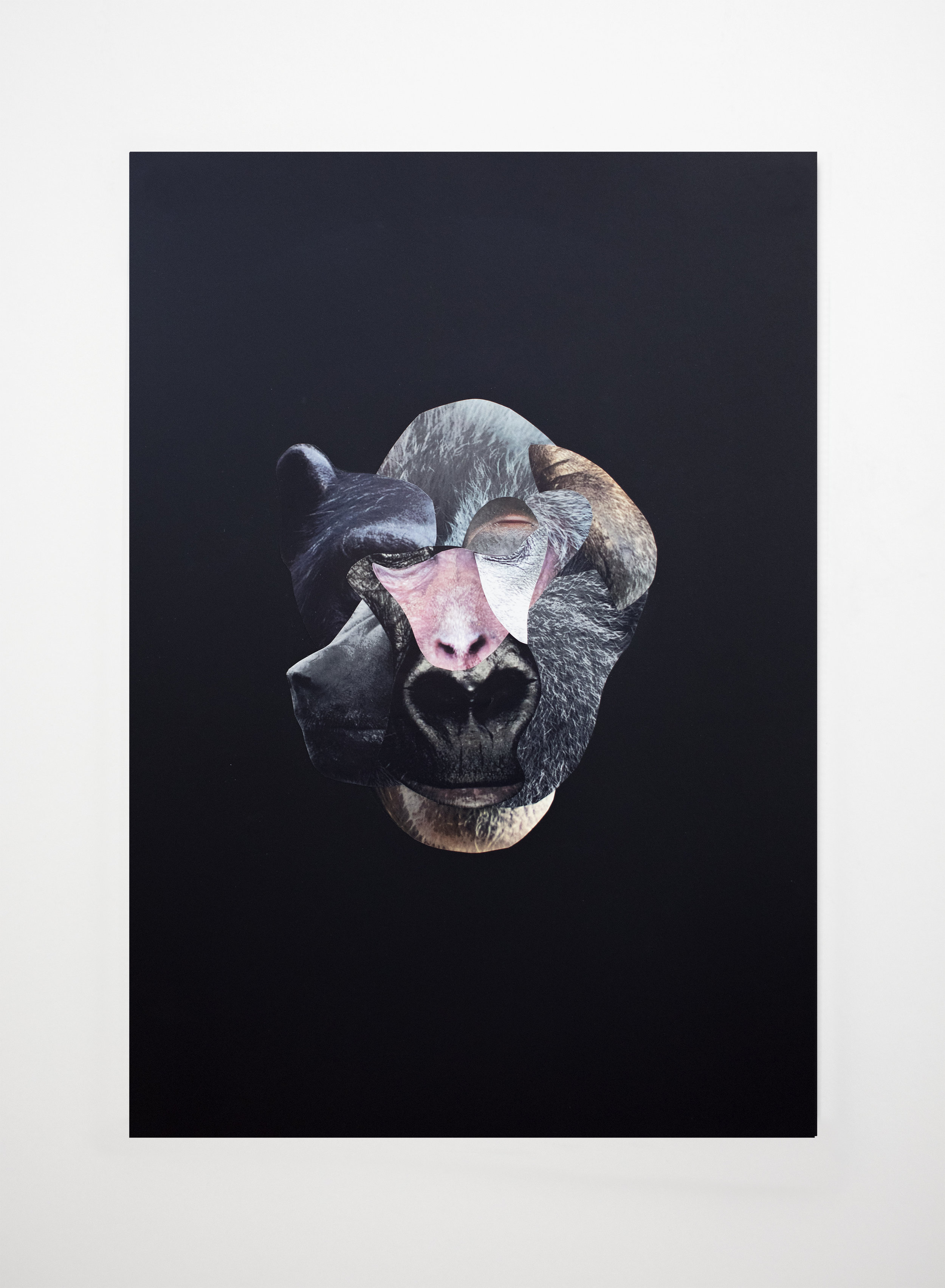  Les restes No 08.  Collage sur papier noir / Collage on black paper  13 3/4 X 19 3/4 in / 33 X 50 cm   