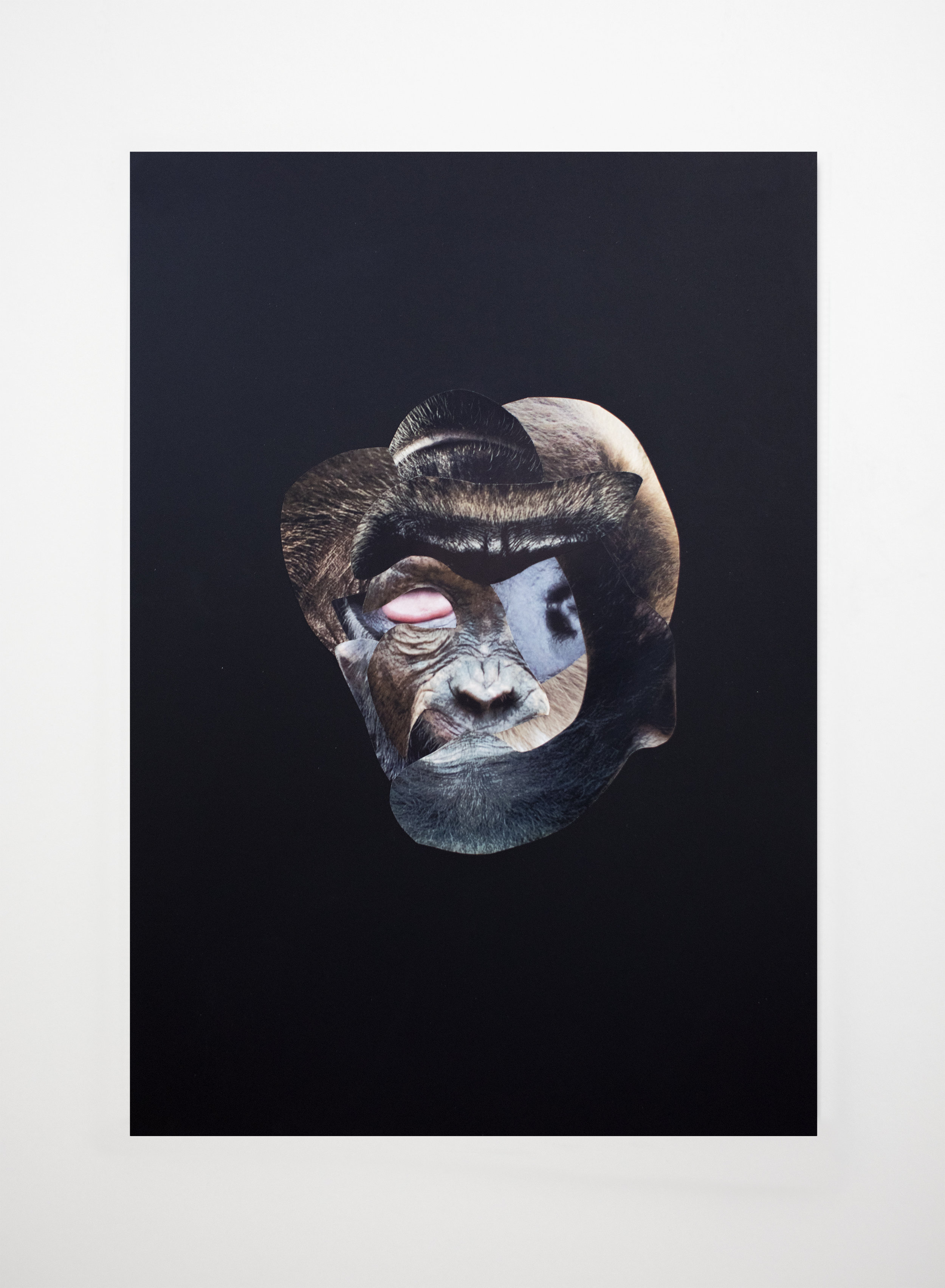  Les restes No.06  Collage sur papier noir / Collage on black paper  13 3/4 X 19 3/4 in / 33 X 50 cm   