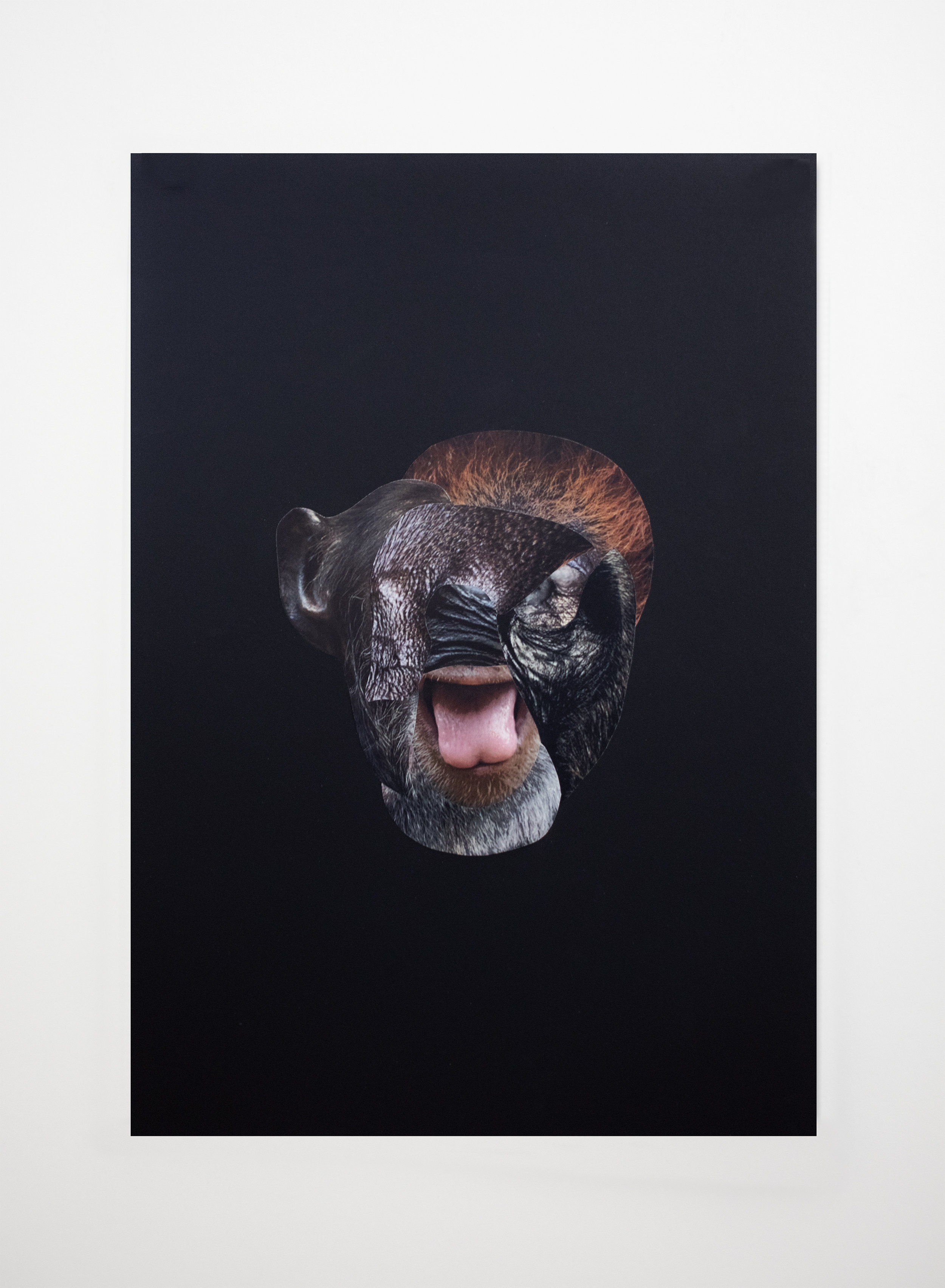  Les restes No.01  Collage sur papier noir / Collage on black paper  13 3/4 X 19 3/4 in / 33 X 50 cm   
