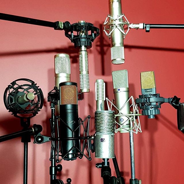 Matching the mic to the voice is always a fun challenge🎙️ Finding the right mic is such an important part of the recording process and here at Mark Matula Productions /Def Wolf Studio we have heaps of boutique microphones to play with 😍 .
.
.
.
#st