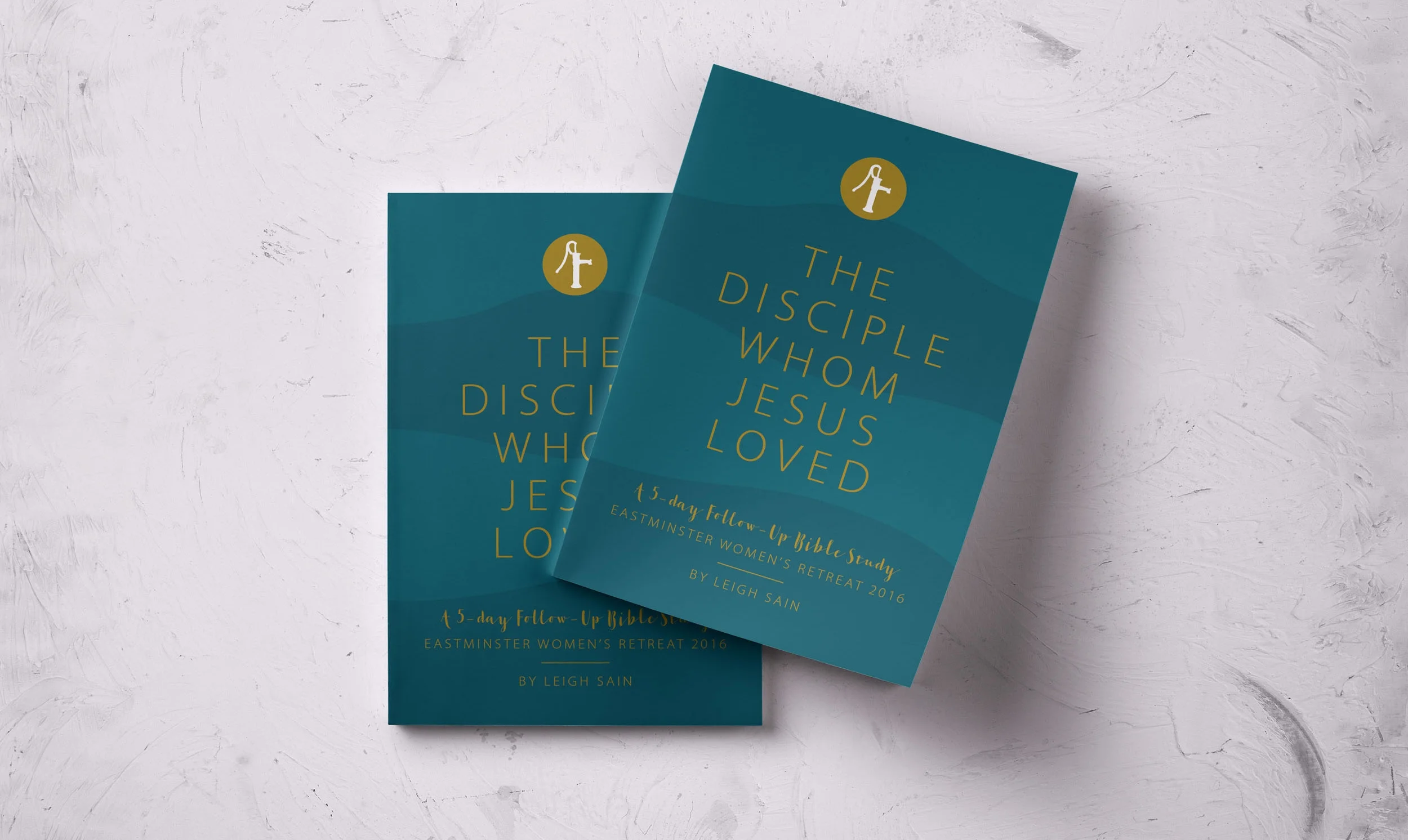 The Disciple Whom Jesus Loved Bible Study