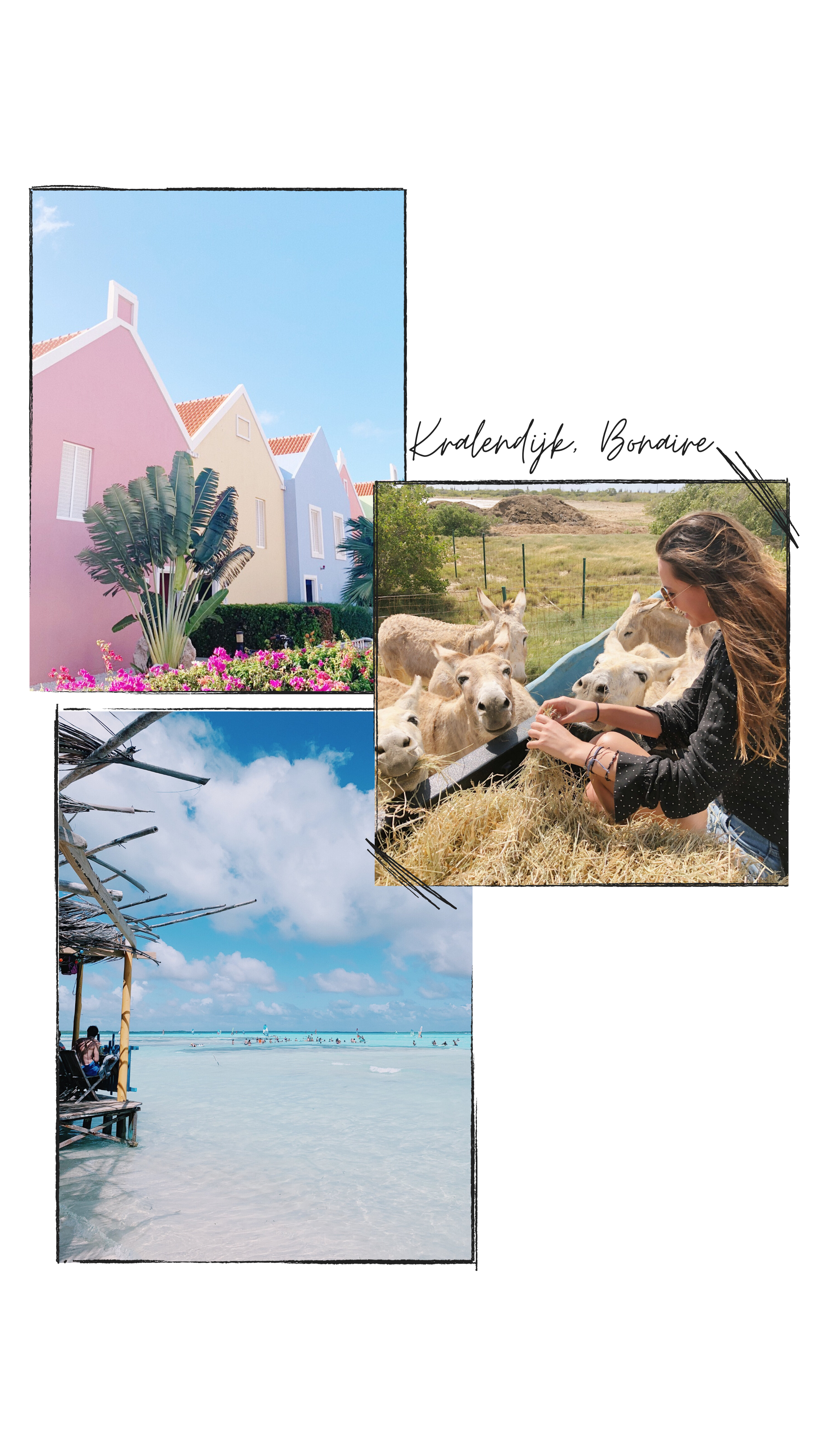 kralendijk bonaire beaches on 10 Mind Blowing Travel Destinations To Add To Your Bucket List Kimcollective