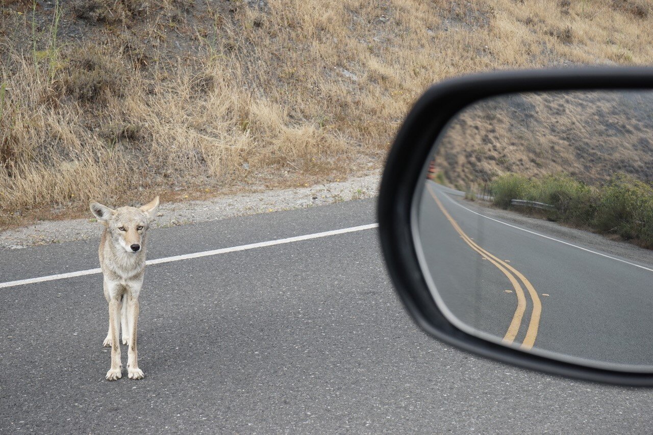 CIRCA Art Center - Procédés divers exhibition. 