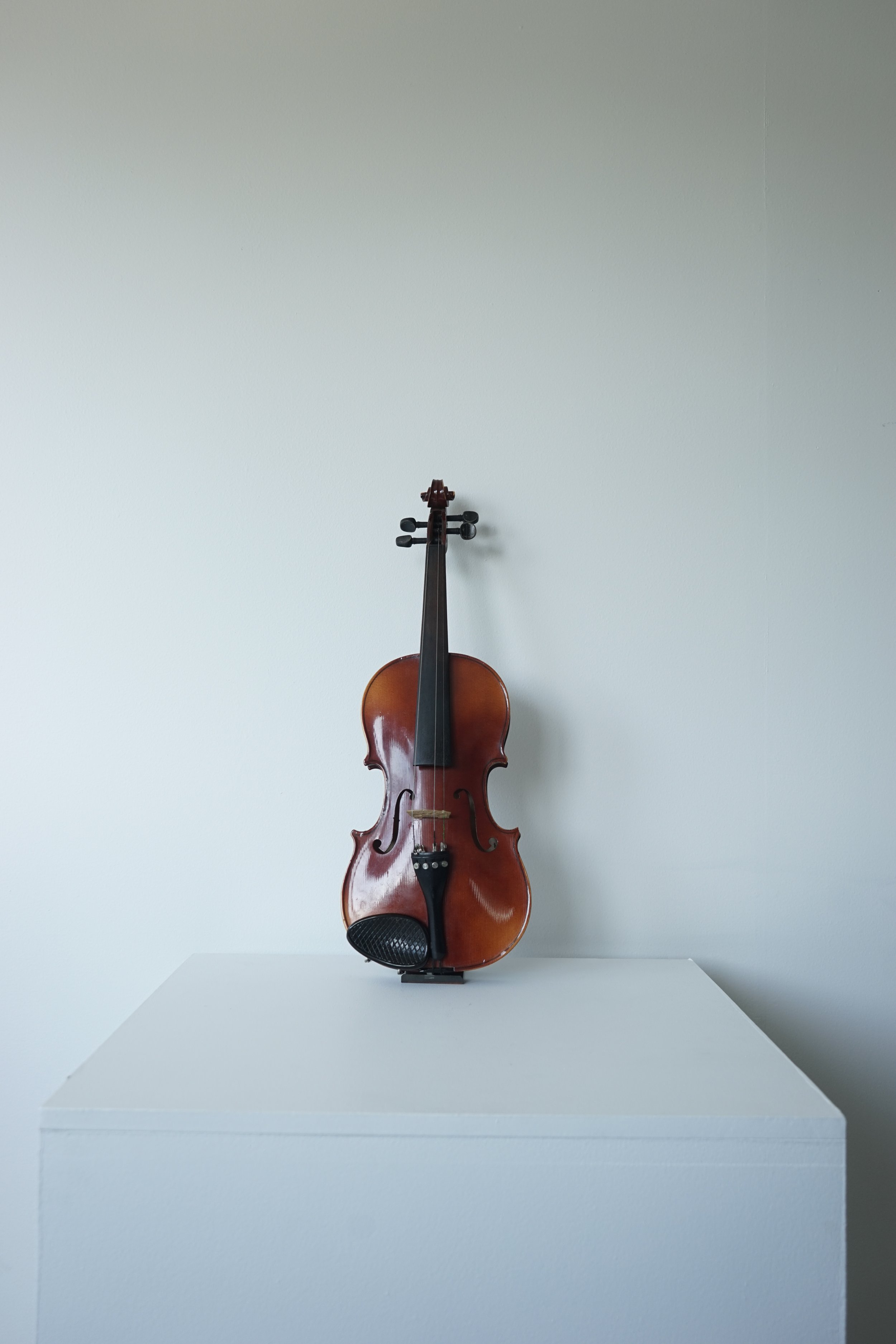 Le violon de Nathalie_DSC09473.JPG