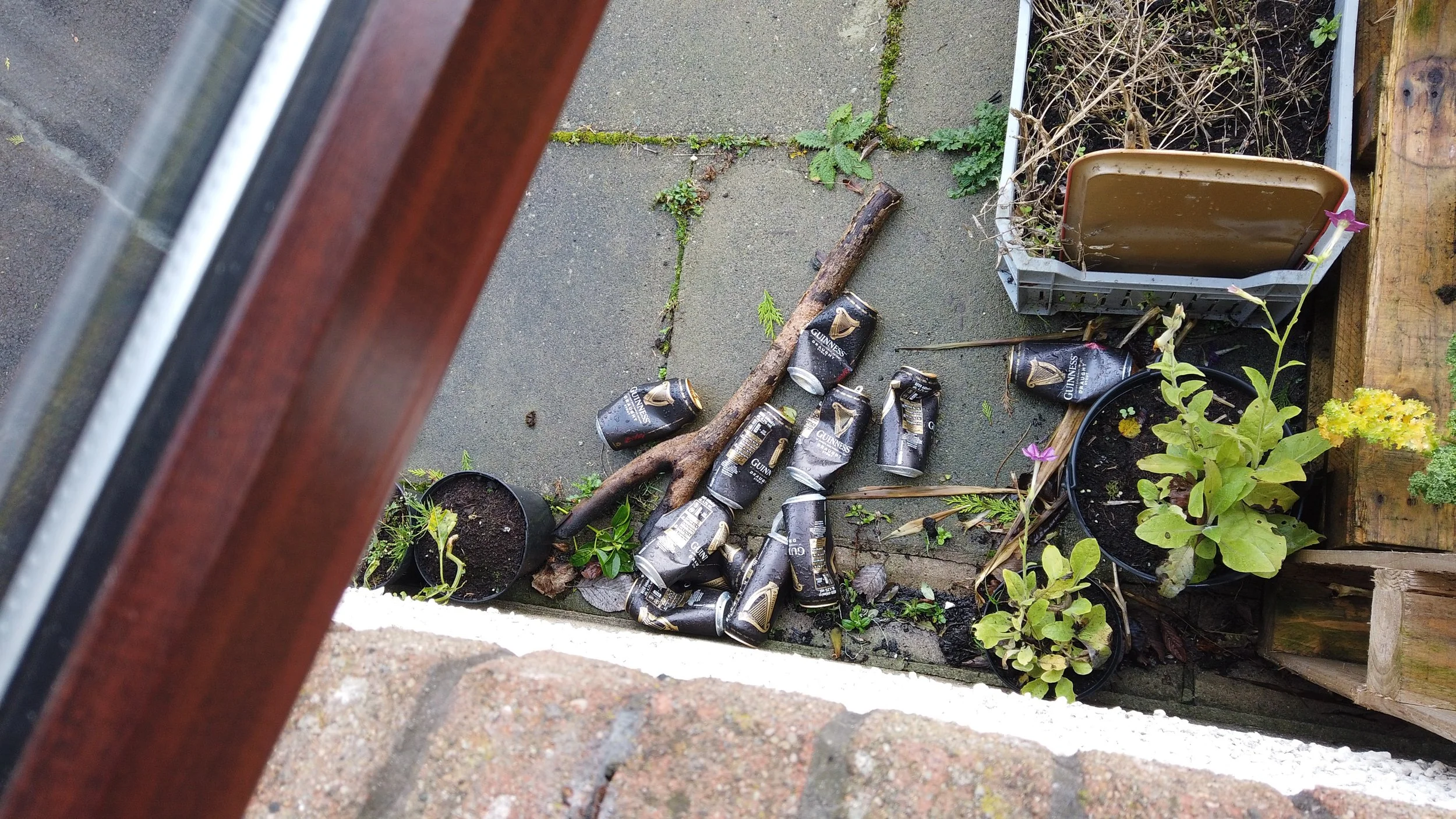 GUINNESS PICTURE.JPG