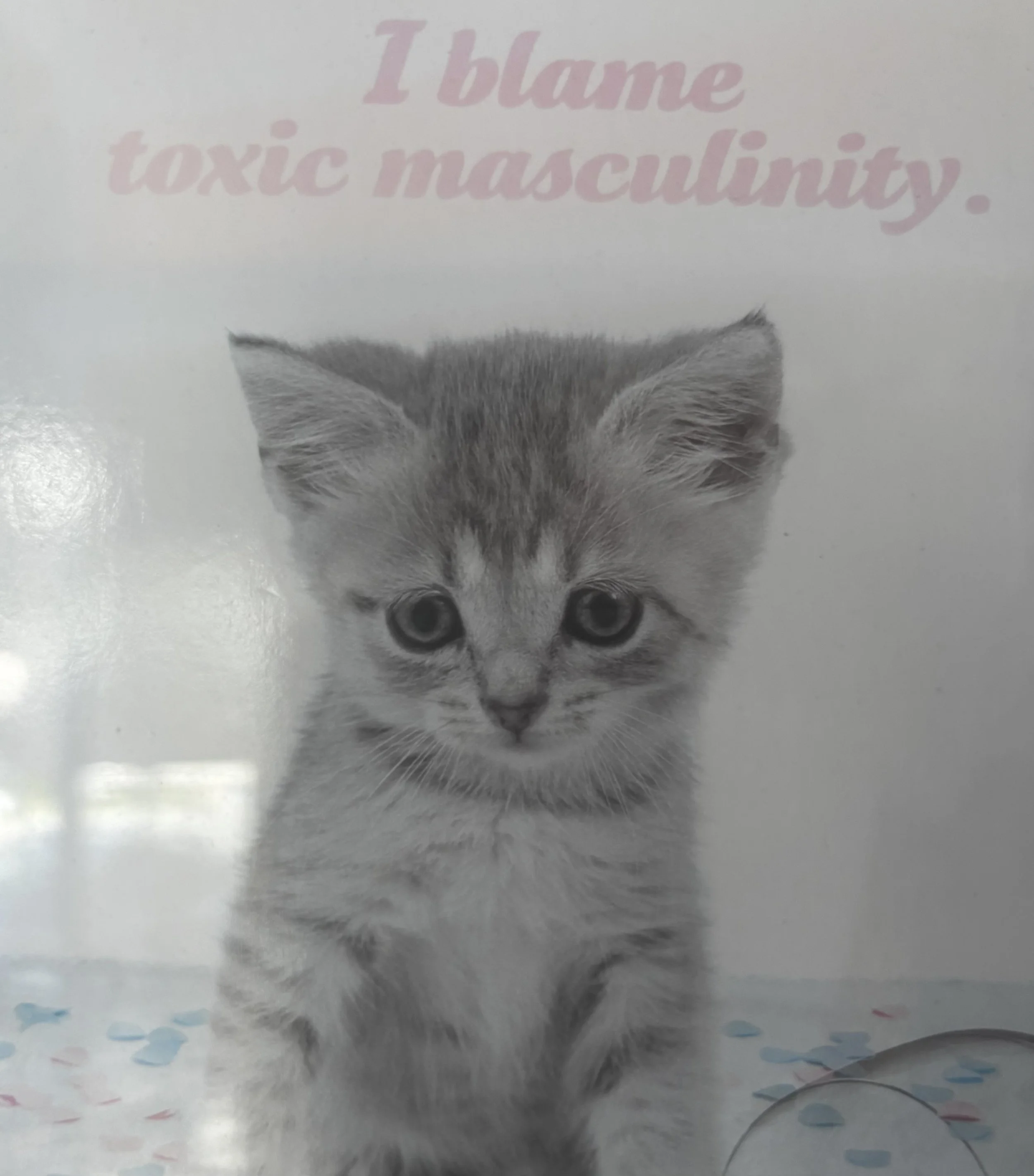 Anthony Coleman Trio/Roots To Shoots Play Coltrane